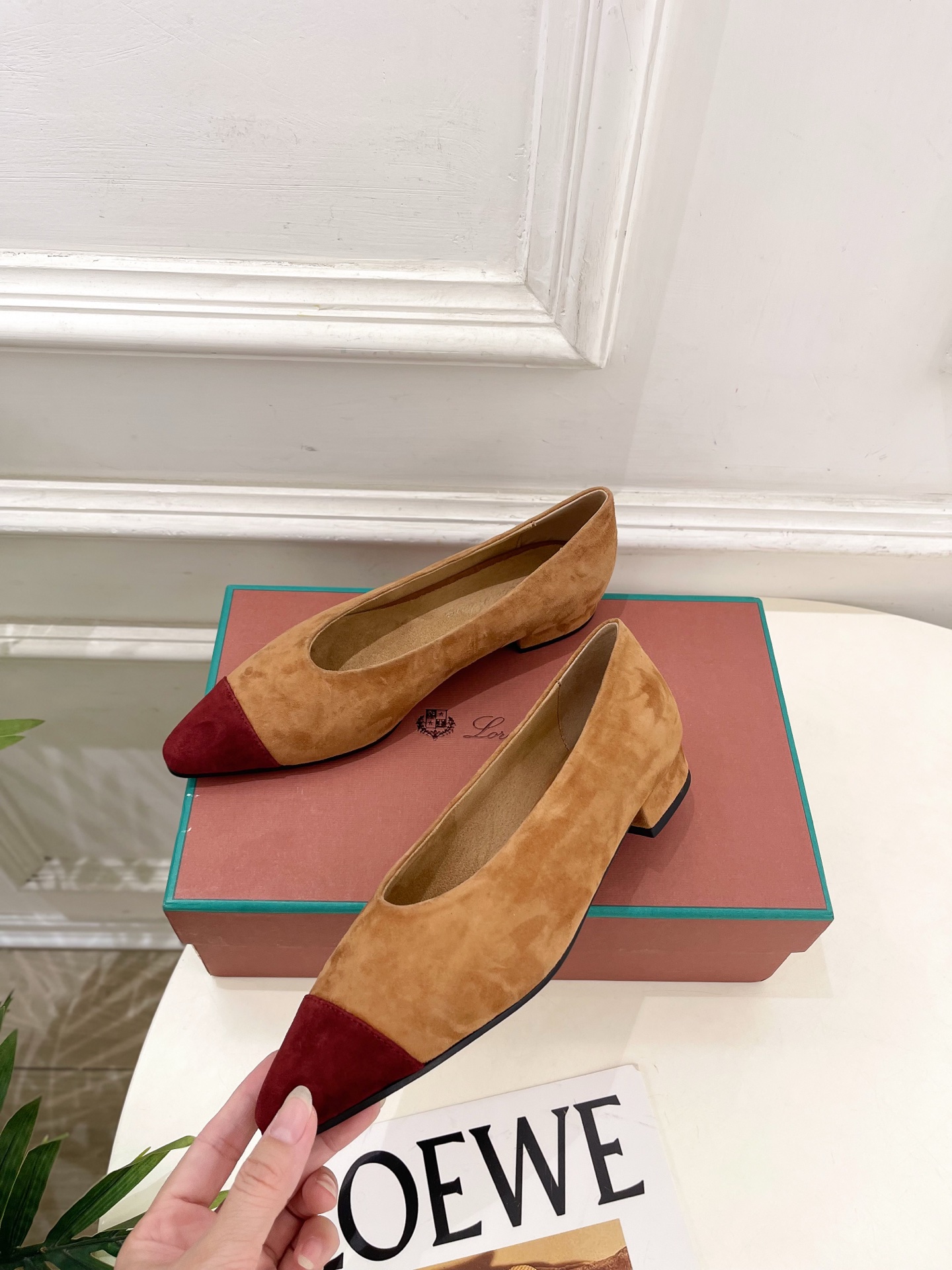 Loro Piana 乐悠翩雅 代购级别⚠️2025秋冬新品 Rebecca拼色平底芭蓄舞鞋 —————