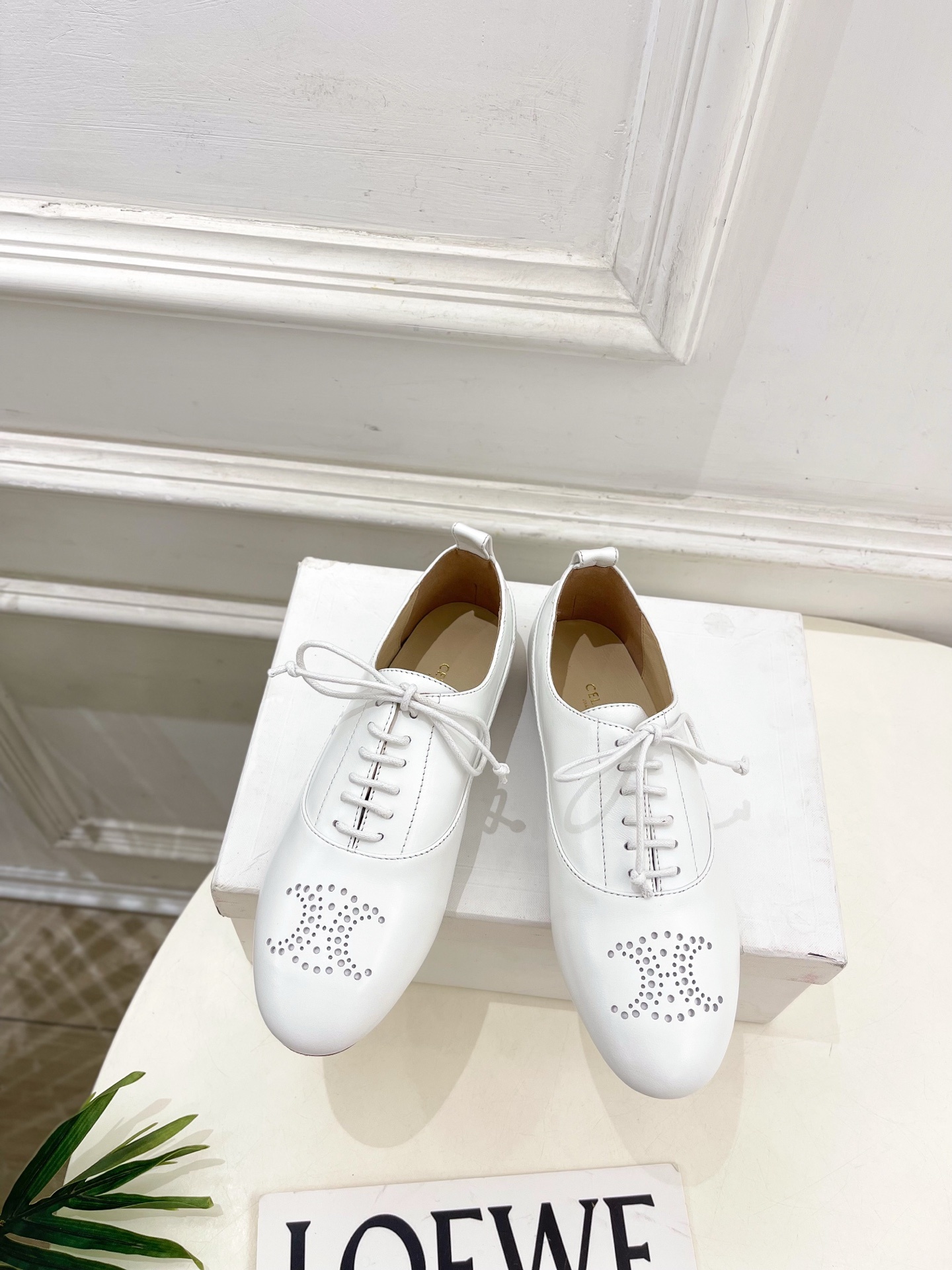 CELINE | 赛琳 25𝐬𝐬 💛2025新品 LISE TRIOMPHE镂孔标志板鞋 上新!🔜 BS