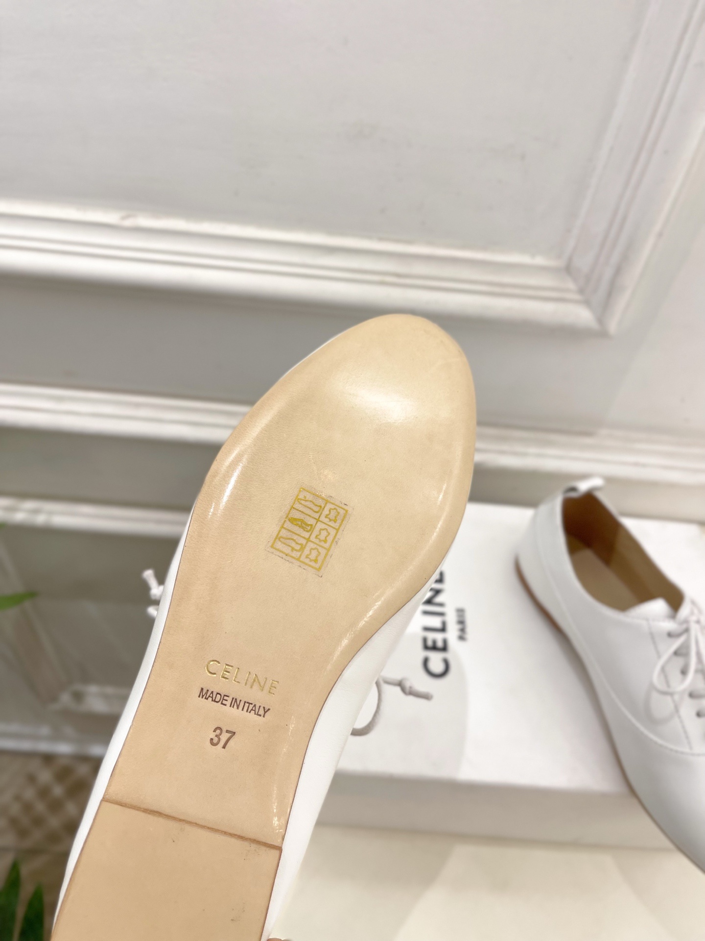 CELINE | 赛琳 25𝐬𝐬 💛2025新品 LISE TRIOMPHE镂孔标志板鞋 上新!🔜 BS