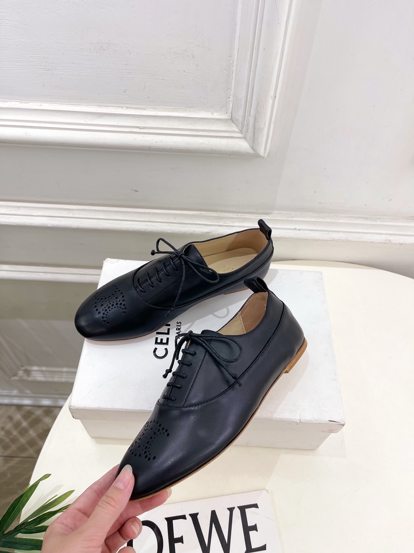 CELINE | 赛琳 25𝐬𝐬 💛2025新品 LISE TRIOMPHE镂孔标志板鞋 上新!🔜 BS
