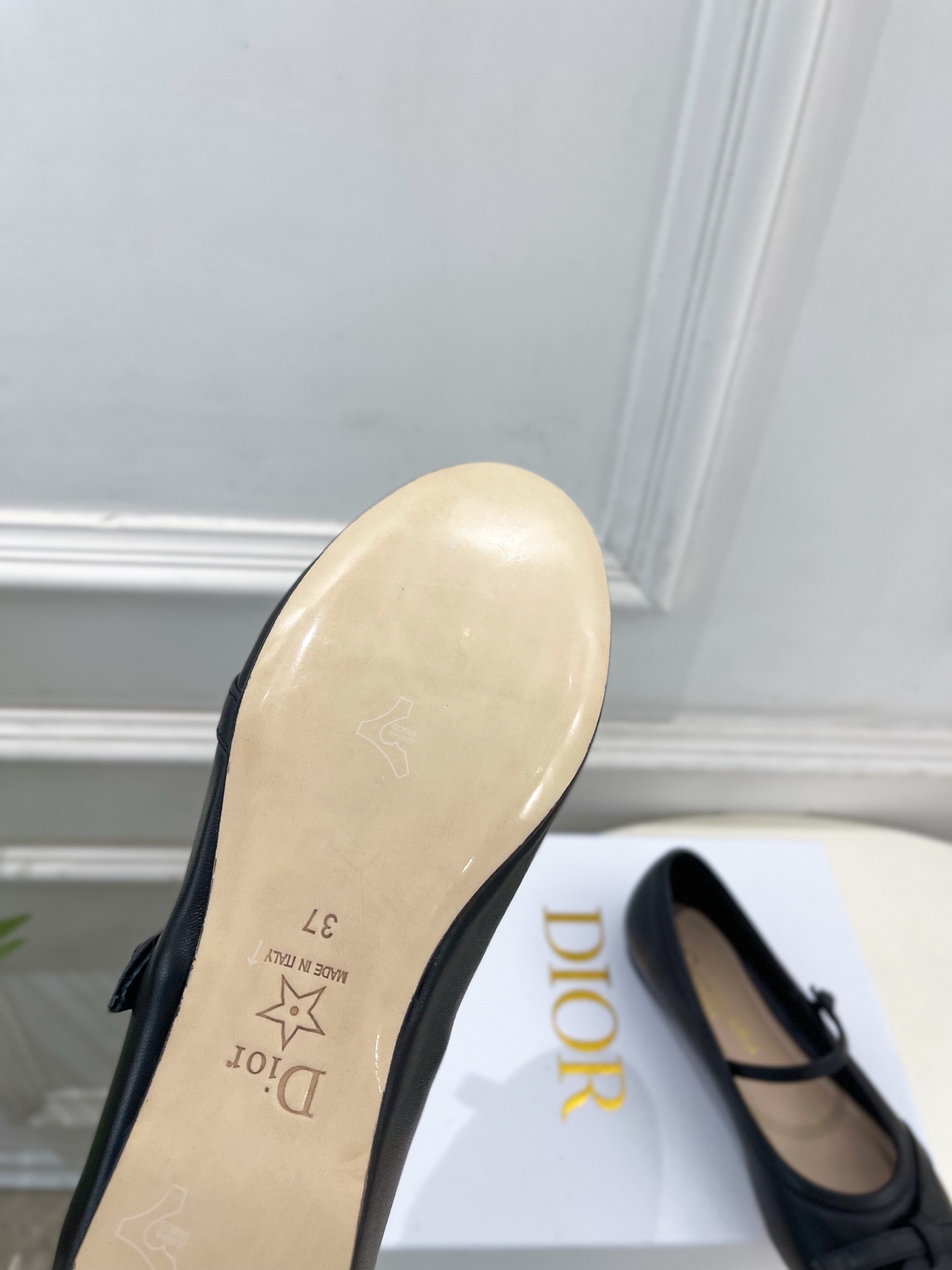 Dior |  迪奥  26𝐬𝐬 🧡💚2026春夏新品 顶级版本⚠️专柜主打新款 CD蝴蝶结玛丽珍芭蕾鞋