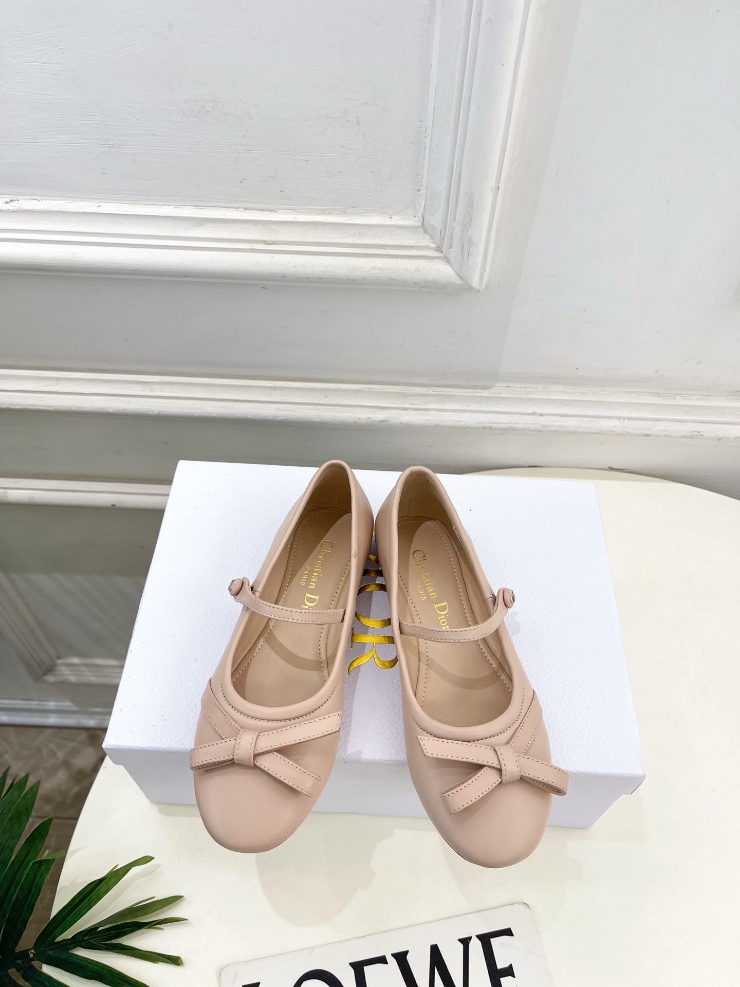Dior |  迪奥  26𝐬𝐬 🧡💚2026春夏新品 顶级版本⚠️专柜主打新款 CD蝴蝶结玛丽珍芭蕾鞋