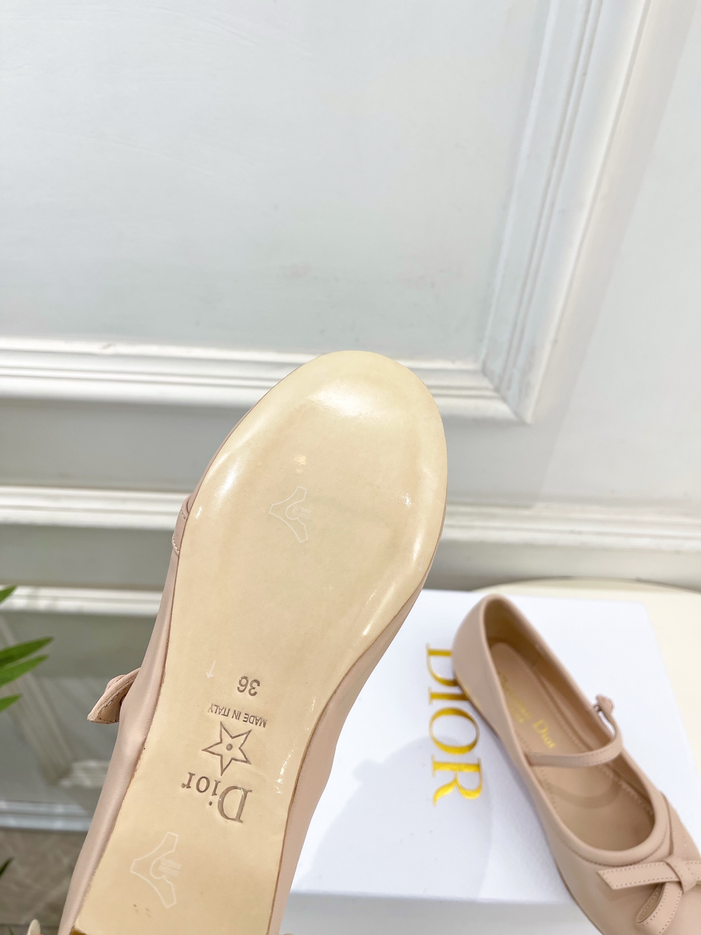 Dior |  迪奥  26𝐬𝐬 🧡💚2026春夏新品 顶级版本⚠️专柜主打新款 CD蝴蝶结玛丽珍芭蕾鞋