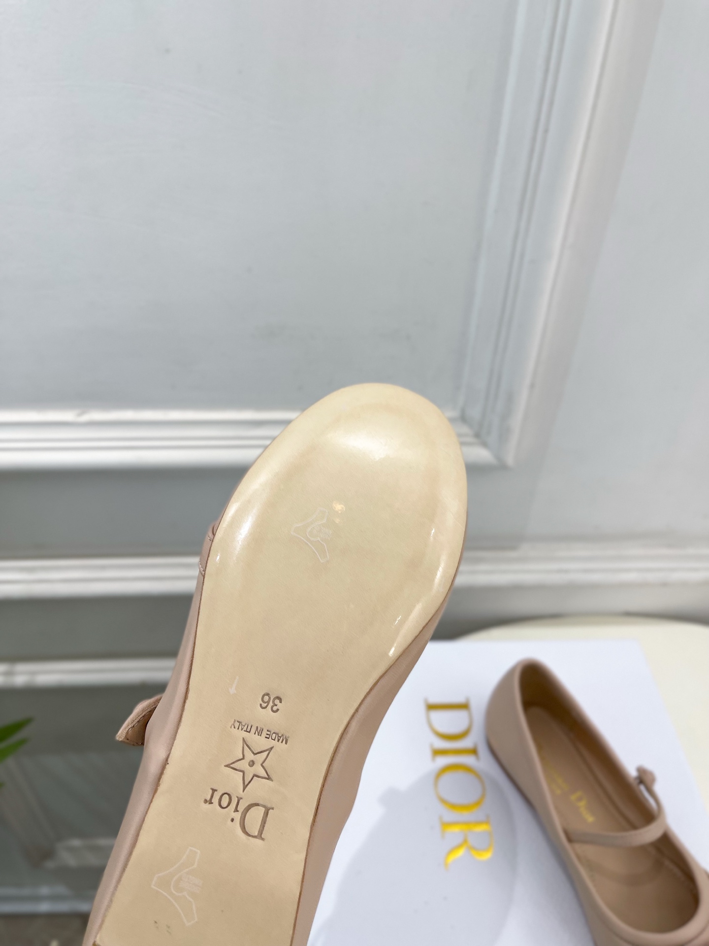 Dior |  迪奥  26𝐬𝐬 🧡💚2026春夏新品 顶级版本⚠️专柜主打新款 CD蝴蝶结玛丽珍芭蕾鞋