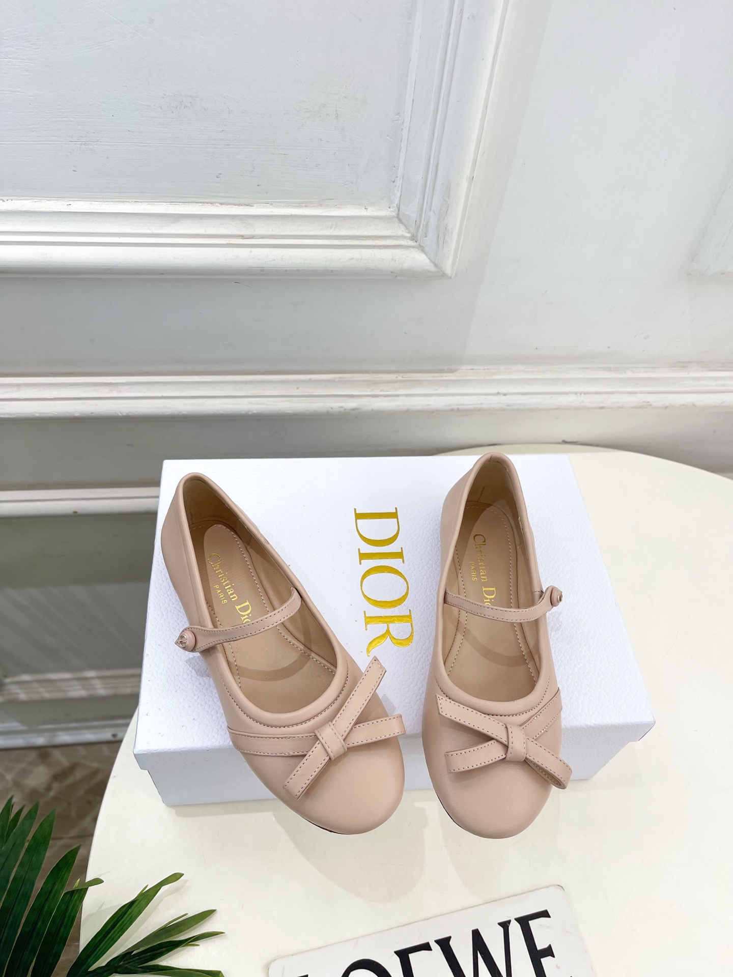 Dior |  迪奥  26𝐬𝐬 🧡💚2026春夏新品 顶级版本⚠️专柜主打新款 CD蝴蝶结玛丽珍芭蕾鞋
