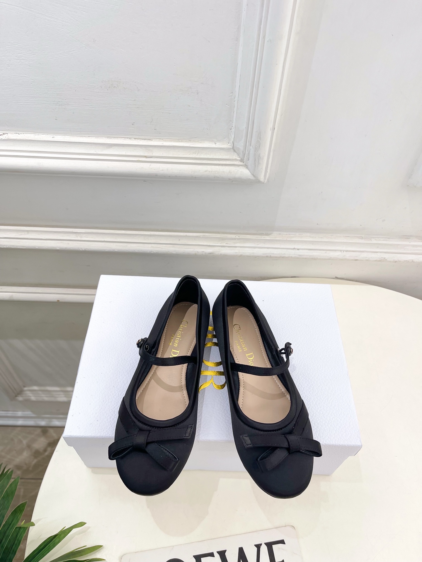 Dior |  迪奥  26𝐬𝐬 🧡💚2026春夏新品 顶级版本⚠️专柜主打新款 CD蝴蝶结玛丽珍芭蕾鞋
