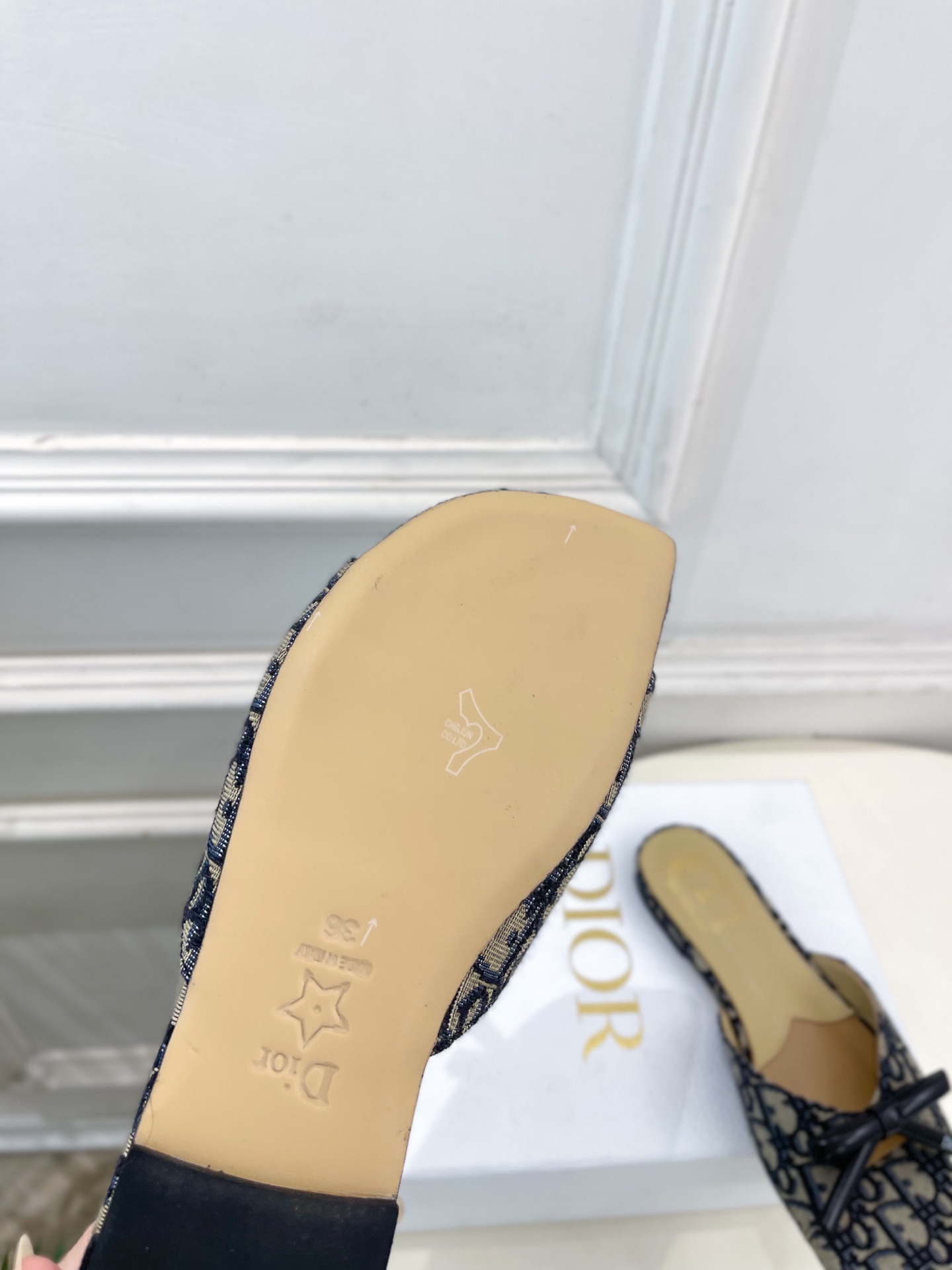 Dior |  迪奥  26𝐬𝐬 🧡💚2026春夏新品 顶级版本⚠️专柜主打新款 CD蝴蝶结鱼嘴平底拖鞋