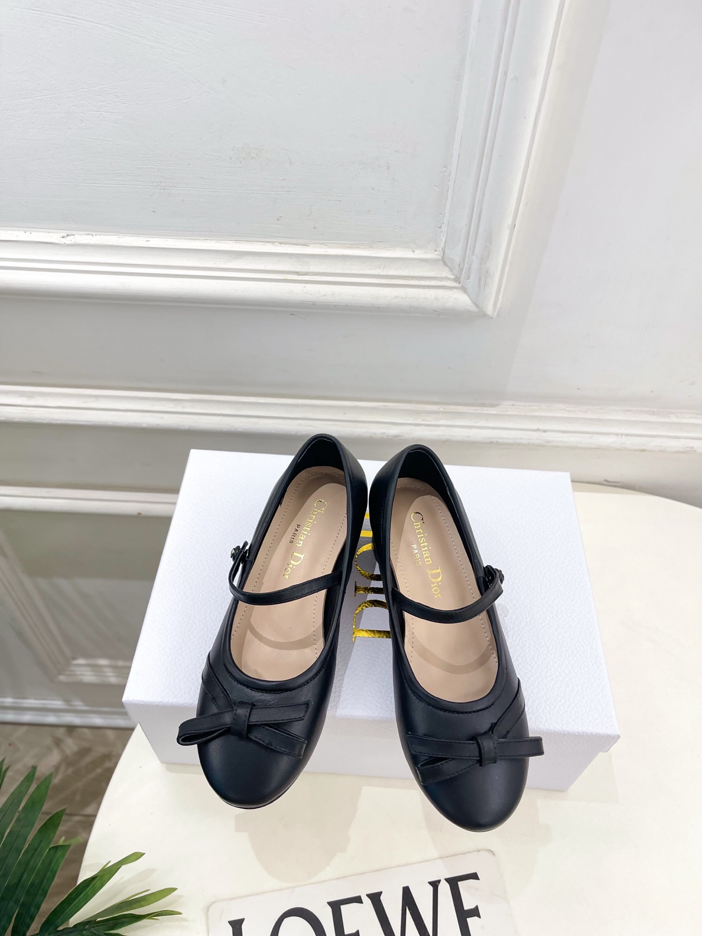 Dior |  迪奥  26𝐬𝐬 🧡💚2026春夏新品 顶级版本⚠️专柜主打新款 CD蝴蝶结粗跟玛丽珍芭