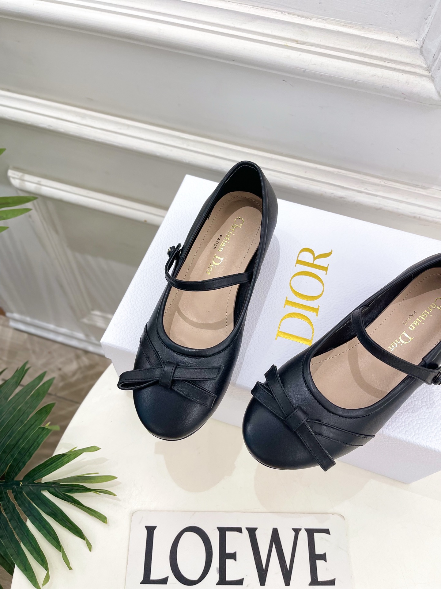 Dior |  迪奥  26𝐬𝐬 🧡💚2026春夏新品 顶级版本⚠️专柜主打新款 CD蝴蝶结粗跟玛丽珍芭