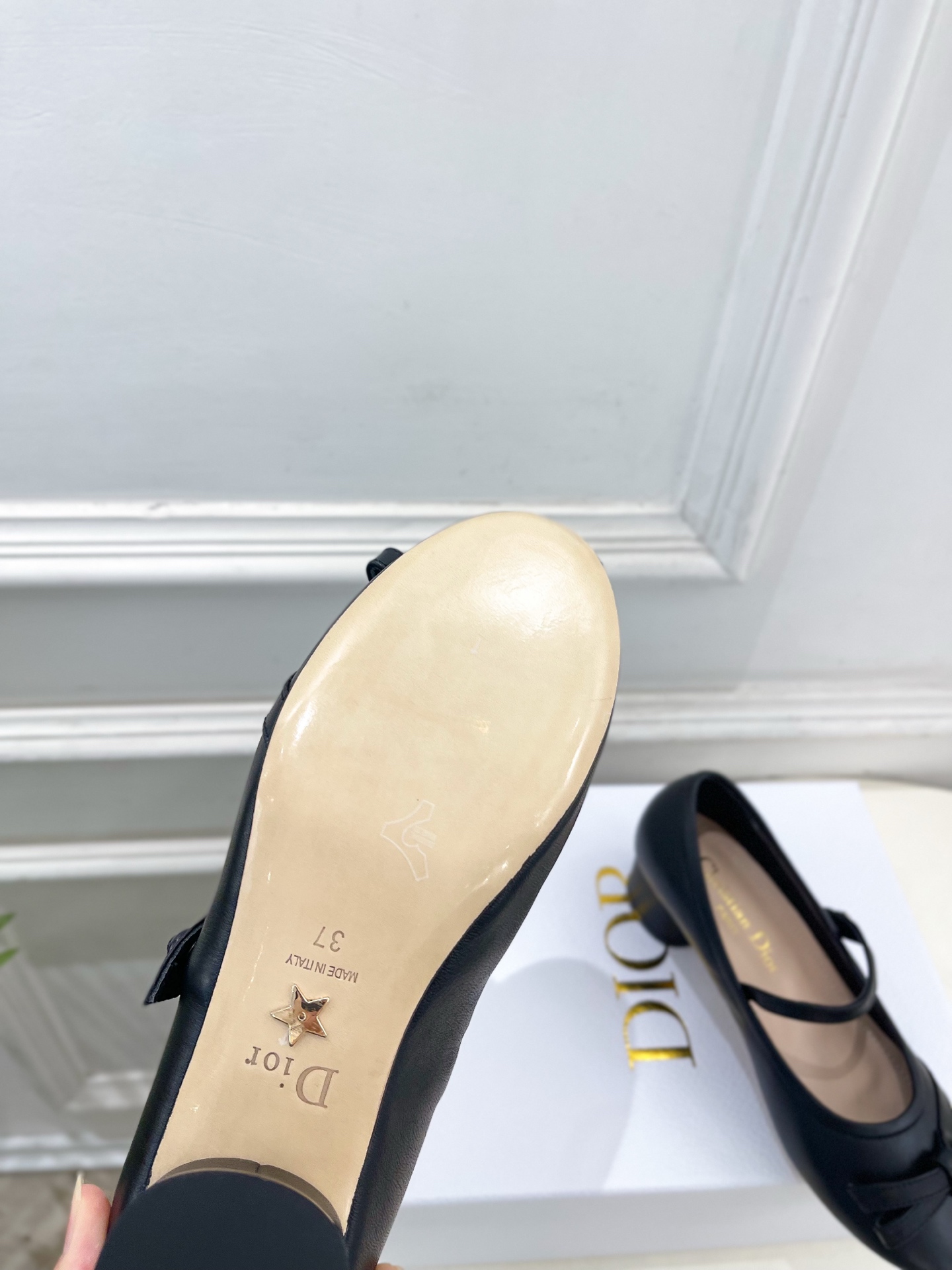 Dior |  迪奥  26𝐬𝐬 🧡💚2026春夏新品 顶级版本⚠️专柜主打新款 CD蝴蝶结粗跟玛丽珍芭