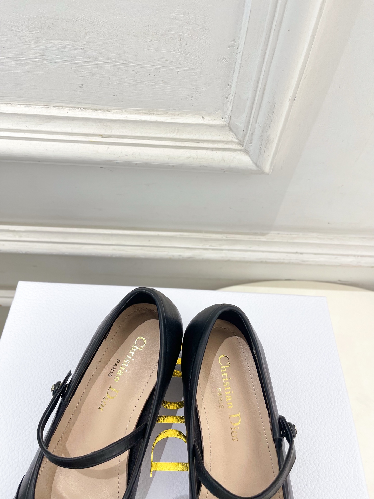 Dior |  迪奥  26𝐬𝐬 🧡💚2026春夏新品 顶级版本⚠️专柜主打新款 CD蝴蝶结粗跟玛丽珍芭