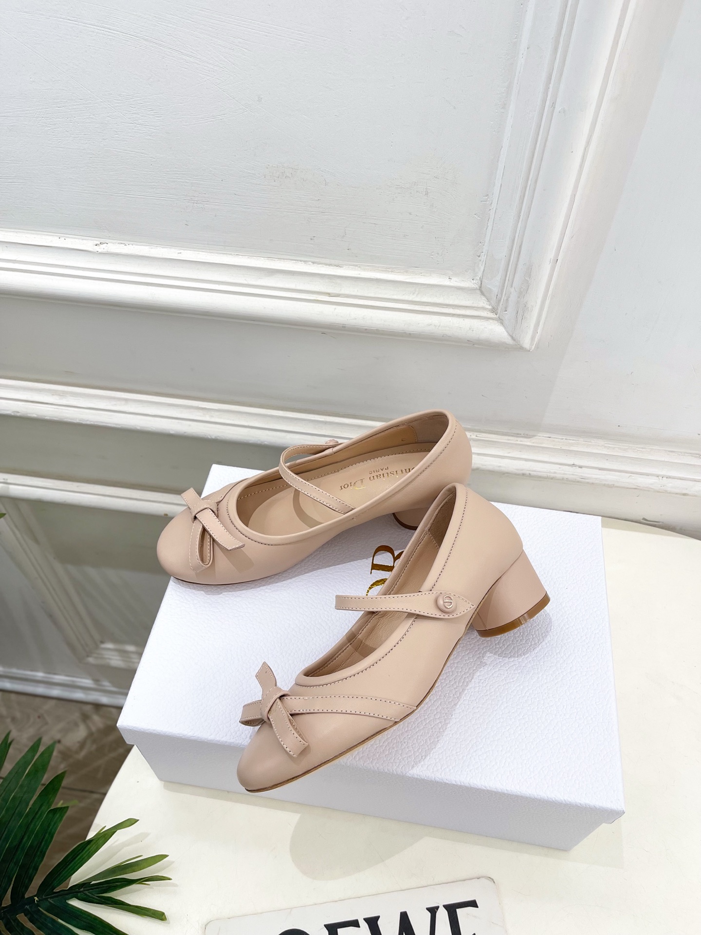 Dior |  迪奥  26𝐬𝐬 🧡💚2026春夏新品 顶级版本⚠️专柜主打新款 CD蝴蝶结粗跟玛丽珍芭