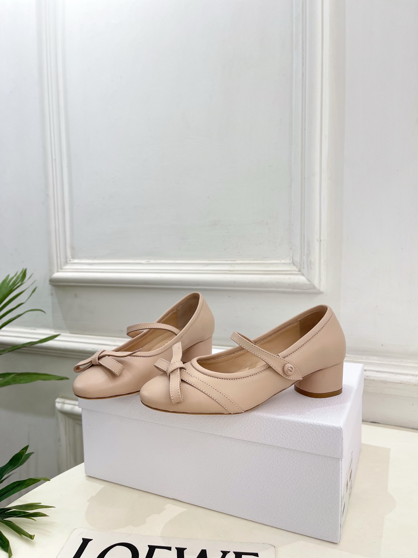 Dior |  迪奥  26𝐬𝐬 🧡💚2026春夏新品 顶级版本⚠️专柜主打新款 CD蝴蝶结粗跟玛丽珍芭