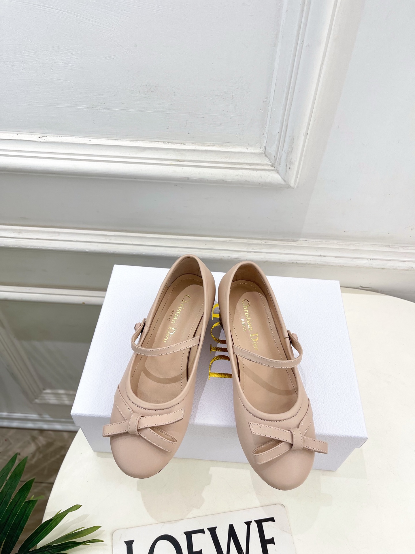 Dior |  迪奥  26𝐬𝐬 🧡💚2026春夏新品 顶级版本⚠️专柜主打新款 CD蝴蝶结粗跟玛丽珍芭