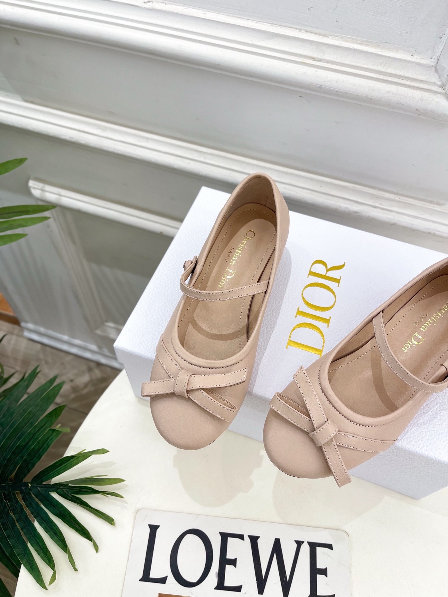 Dior |  迪奥  26𝐬𝐬 🧡💚2026春夏新品 顶级版本⚠️专柜主打新款 CD蝴蝶结粗跟玛丽珍芭