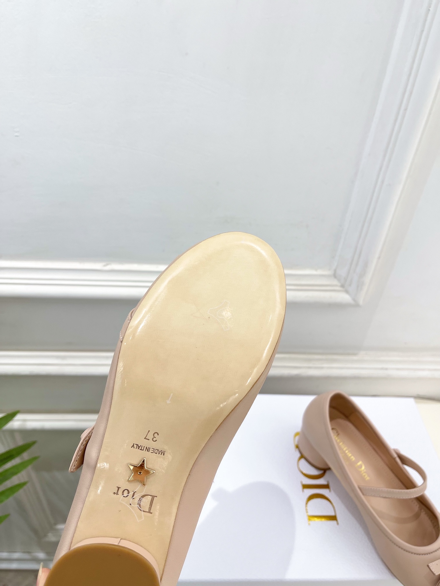 Dior |  迪奥  26𝐬𝐬 🧡💚2026春夏新品 顶级版本⚠️专柜主打新款 CD蝴蝶结粗跟玛丽珍芭