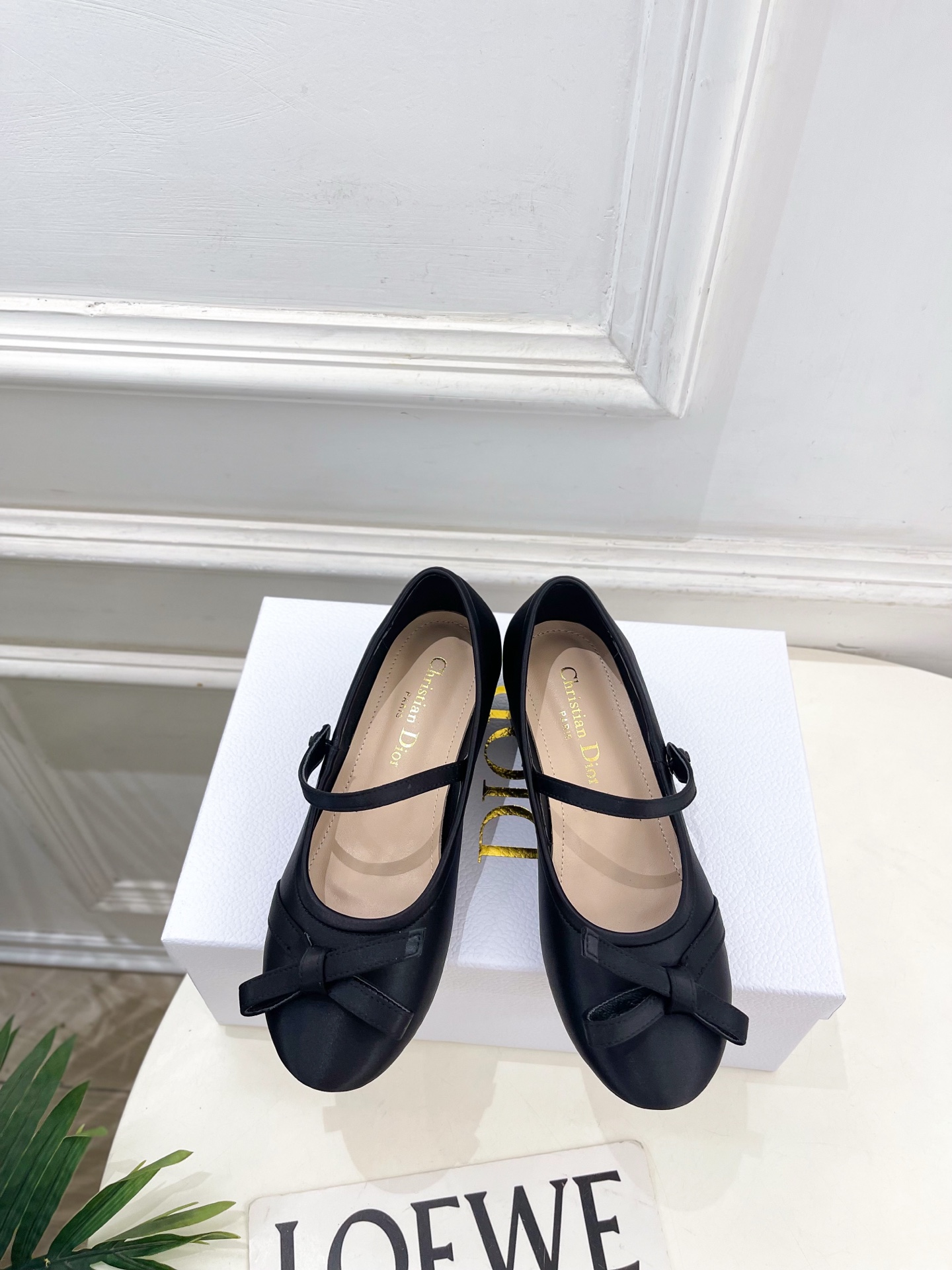 Dior |  迪奥  26𝐬𝐬 🧡💚2026春夏新品 顶级版本⚠️专柜主打新款 CD蝴蝶结粗跟玛丽珍芭