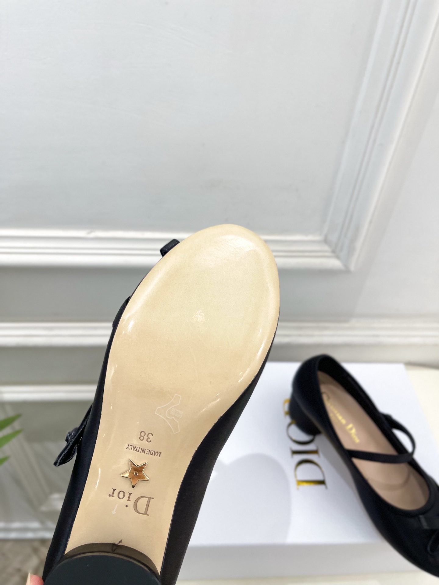 Dior |  迪奥  26𝐬𝐬 🧡💚2026春夏新品 顶级版本⚠️专柜主打新款 CD蝴蝶结粗跟玛丽珍芭