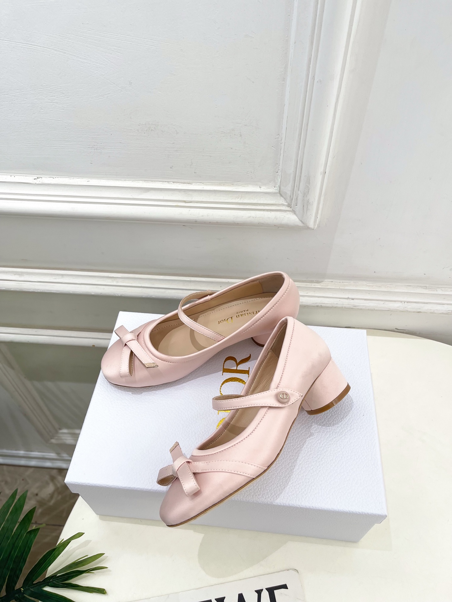Dior |  迪奥  26𝐬𝐬 🧡💚2026春夏新品 顶级版本⚠️专柜主打新款 CD蝴蝶结粗跟玛丽珍芭