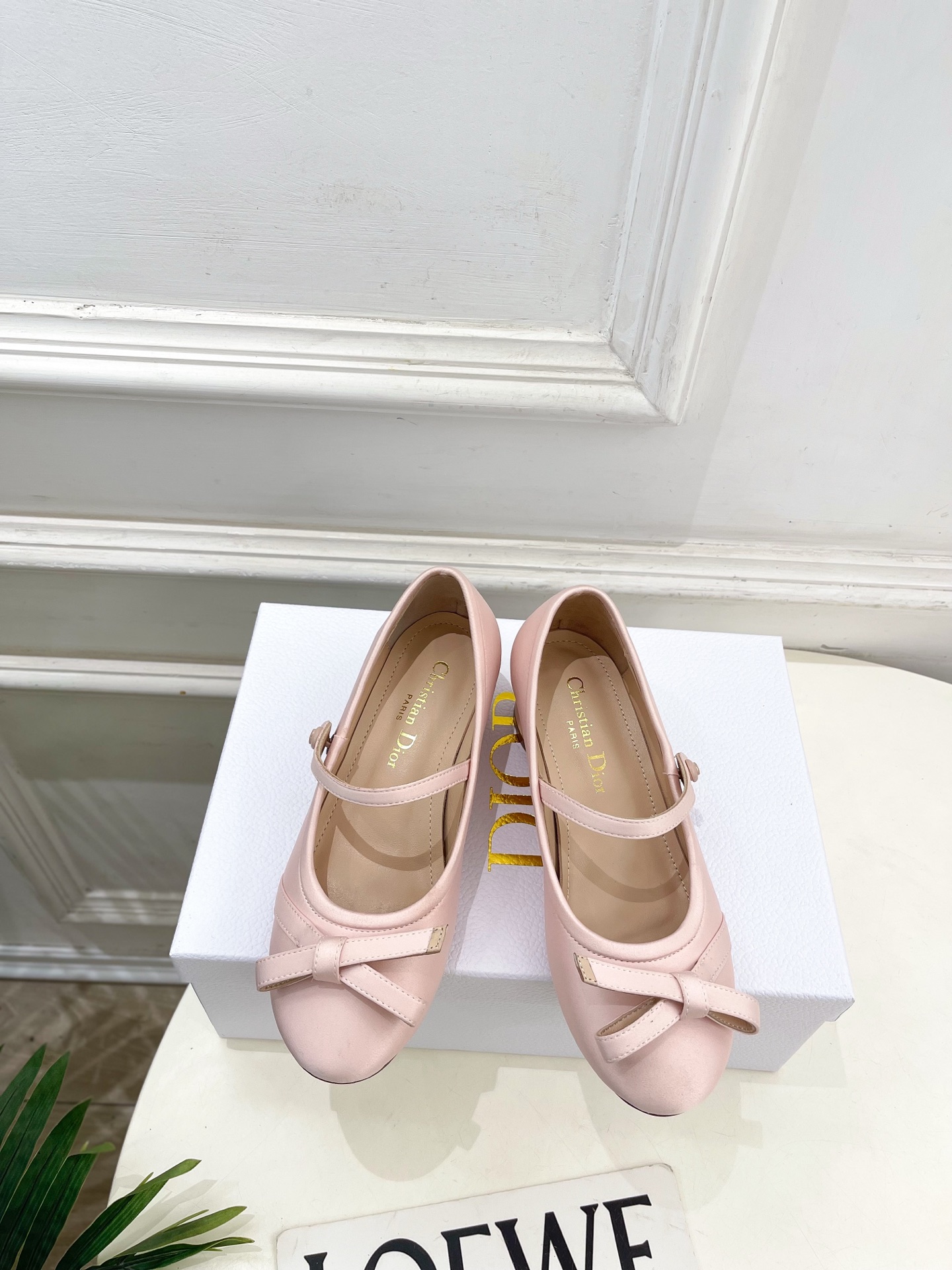 Dior |  迪奥  26𝐬𝐬 🧡💚2026春夏新品 顶级版本⚠️专柜主打新款 CD蝴蝶结粗跟玛丽珍芭
