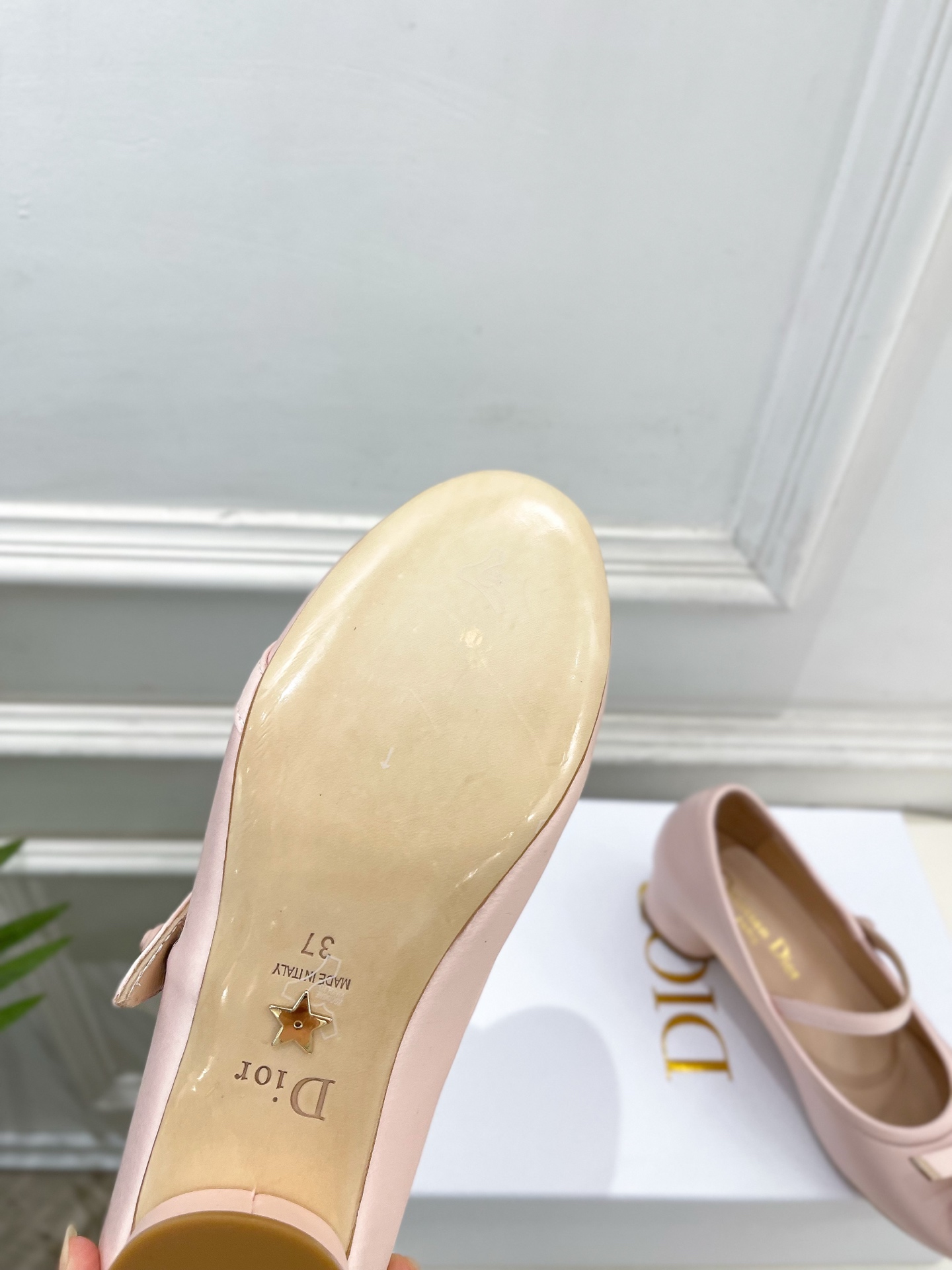 Dior |  迪奥  26𝐬𝐬 🧡💚2026春夏新品 顶级版本⚠️专柜主打新款 CD蝴蝶结粗跟玛丽珍芭