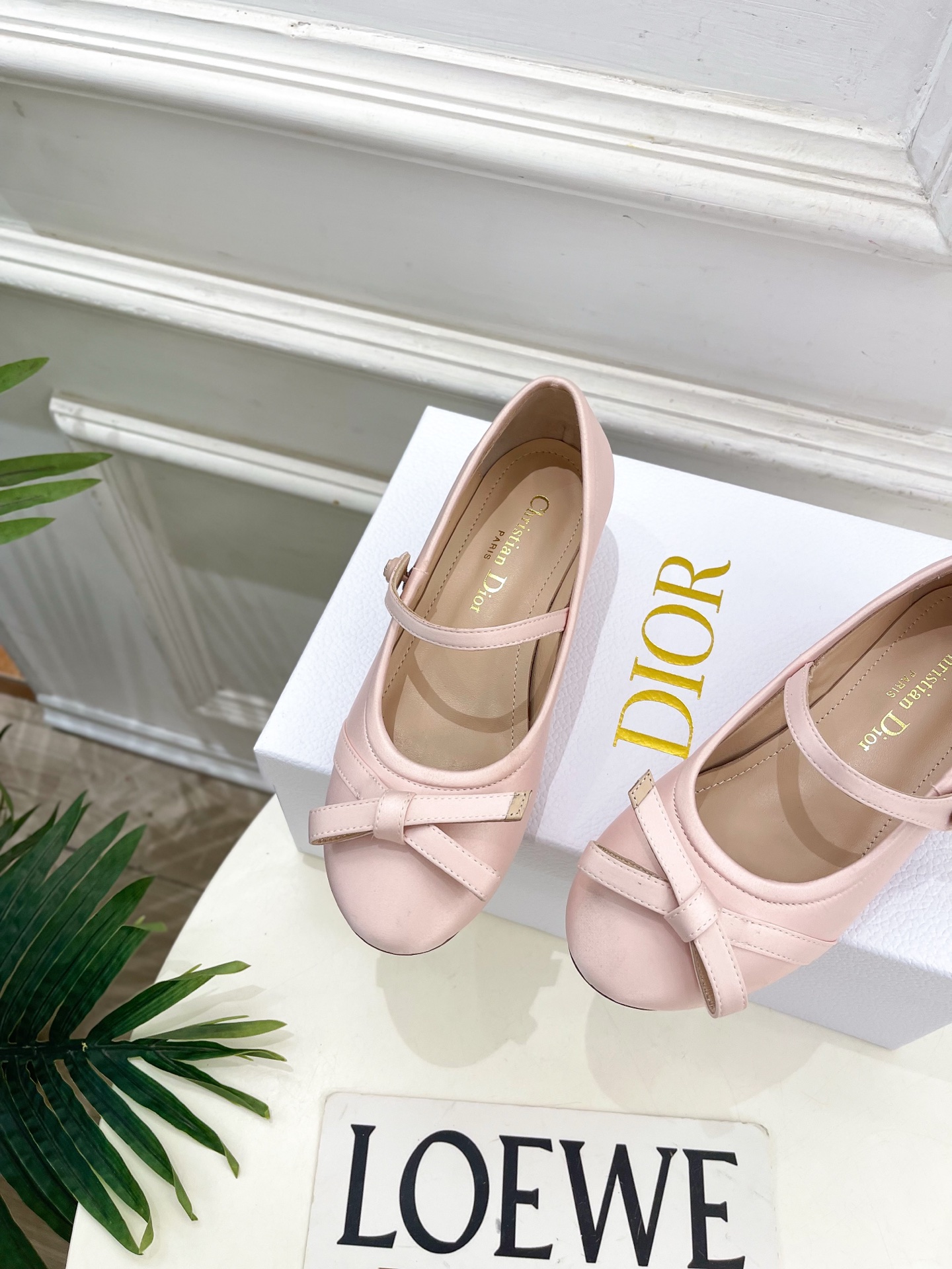Dior |  迪奥  26𝐬𝐬 🧡💚2026春夏新品 顶级版本⚠️专柜主打新款 CD蝴蝶结粗跟玛丽珍芭