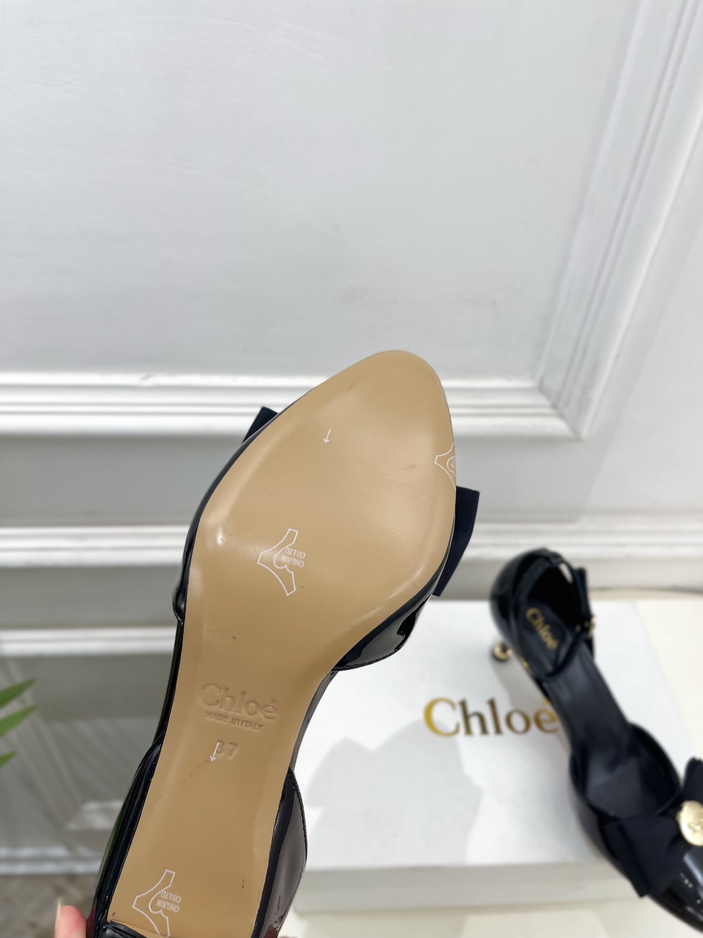 Chloé  |  克洛伊  26𝐬𝐬 ⭐️今日推荐 2026春夏新品 金币蝴蝶结漆皮中空凉鞋 上新🆕❥