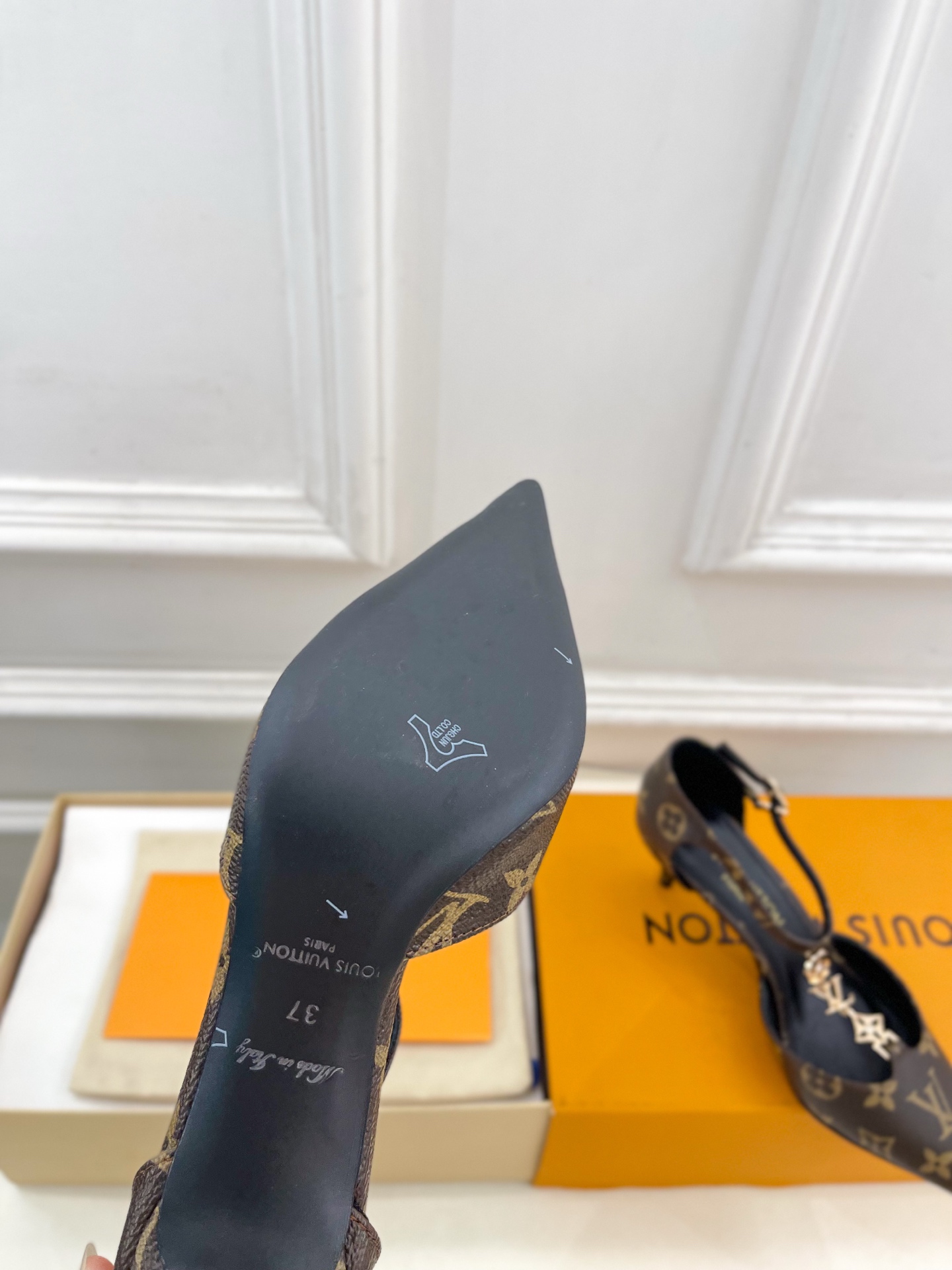 Designer Heeled Shoe