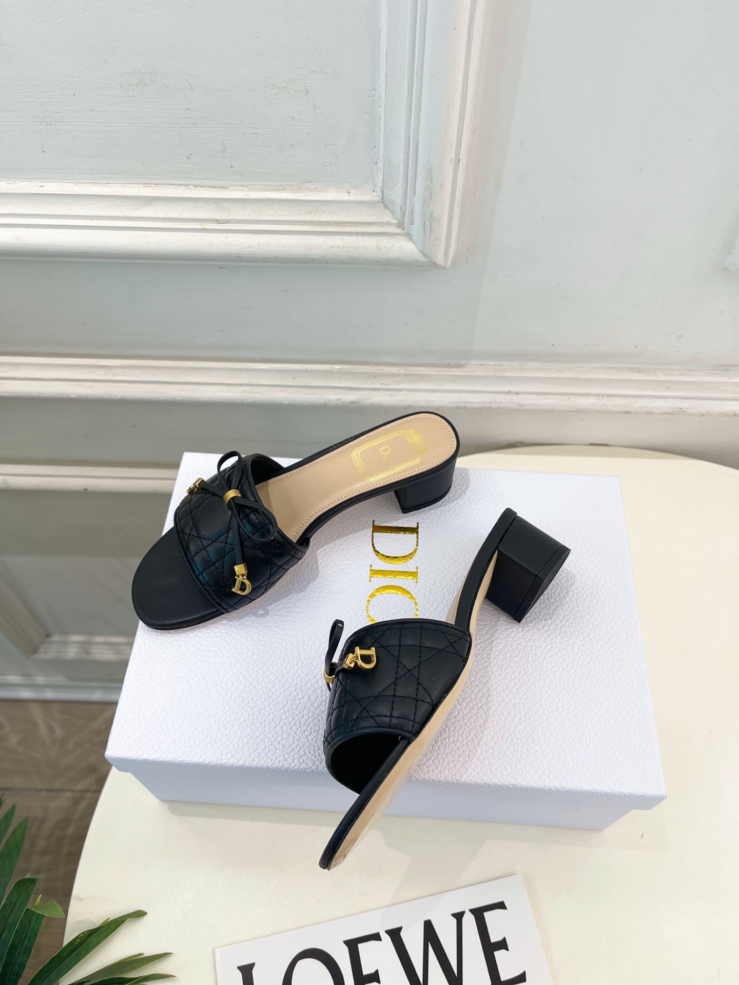 Dior |  迪奥  26𝐬𝐬 🧡💚2026春夏新品 顶级版本⚠️专柜主打新款 Dior Cannag