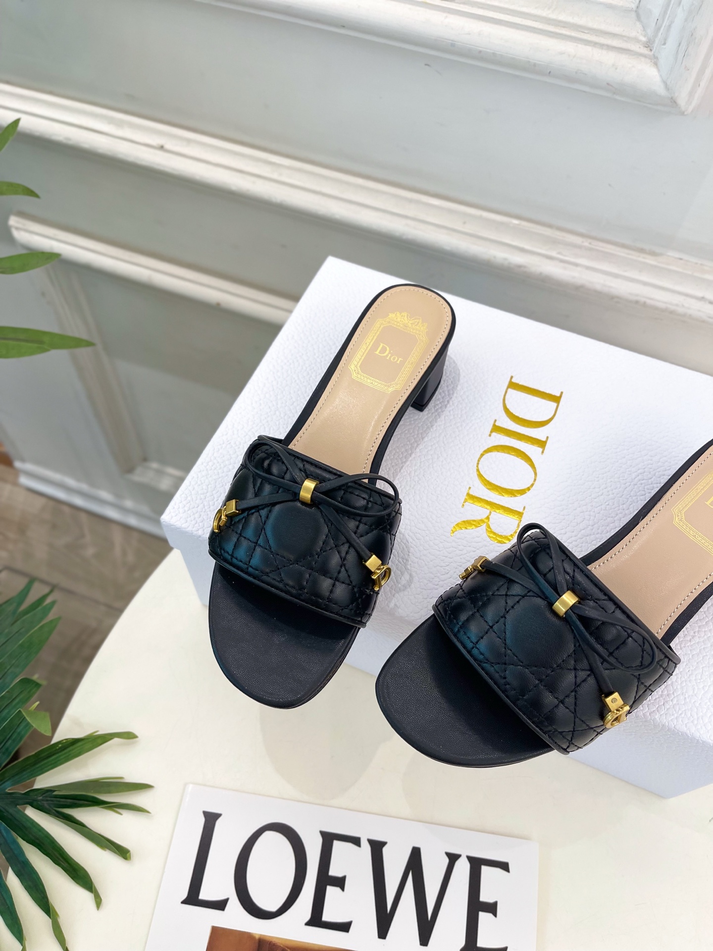 Dior |  迪奥  26𝐬𝐬 🧡💚2026春夏新品 顶级版本⚠️专柜主打新款 Dior Cannag