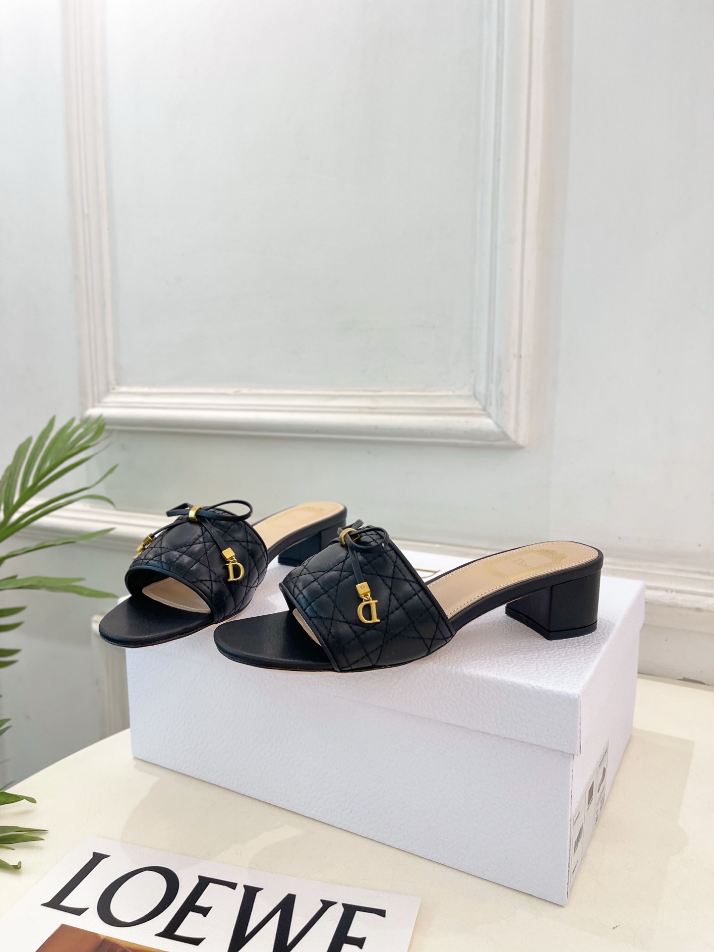 Dior |  迪奥  26𝐬𝐬 🧡💚2026春夏新品 顶级版本⚠️专柜主打新款 Dior Cannag