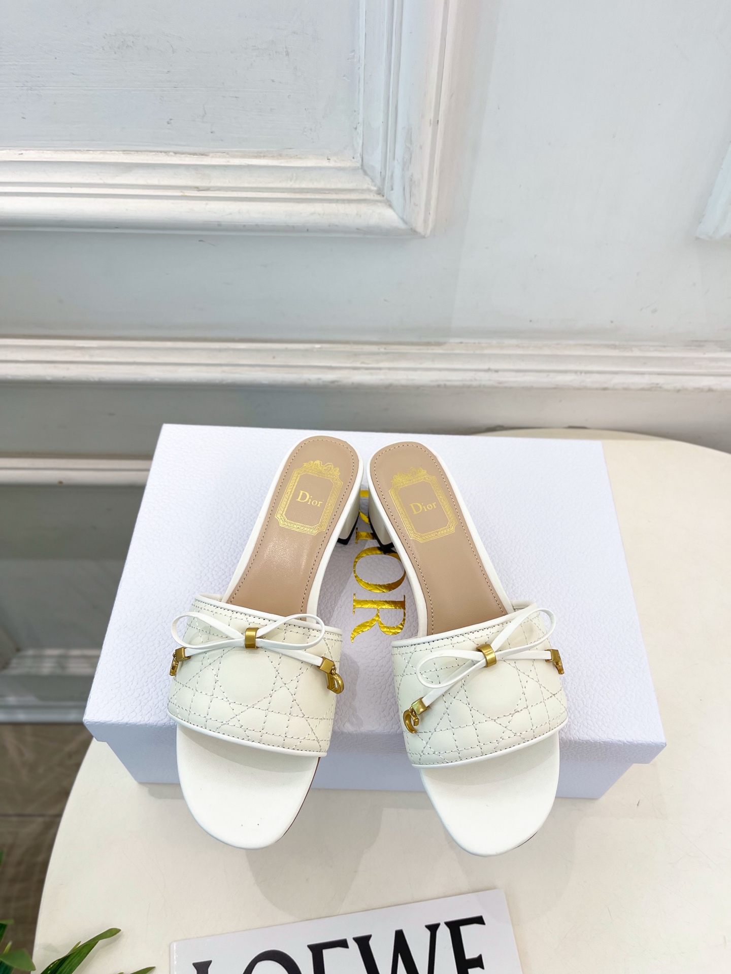 Dior |  迪奥  26𝐬𝐬 🧡💚2026春夏新品 顶级版本⚠️专柜主打新款 Dior Cannag