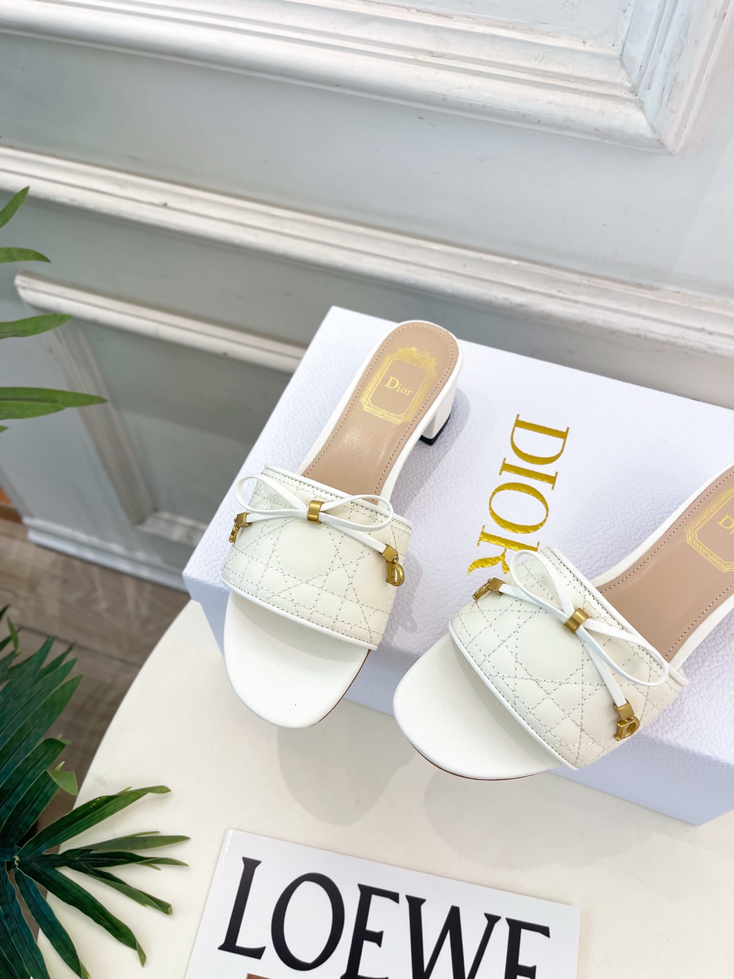 Dior |  迪奥  26𝐬𝐬 🧡💚2026春夏新品 顶级版本⚠️专柜主打新款 Dior Cannag