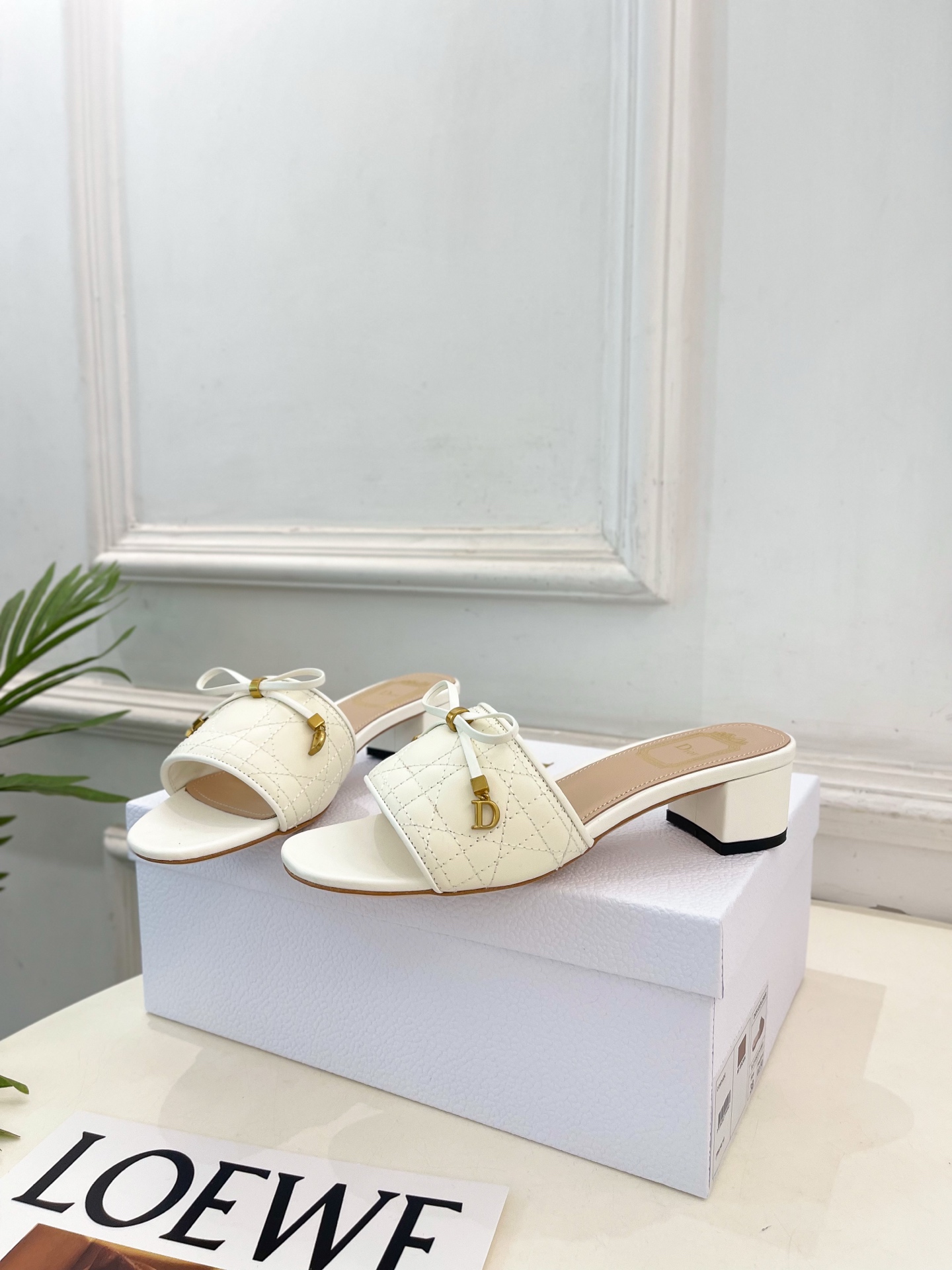 Dior |  迪奥  26𝐬𝐬 🧡💚2026春夏新品 顶级版本⚠️专柜主打新款 Dior Cannag
