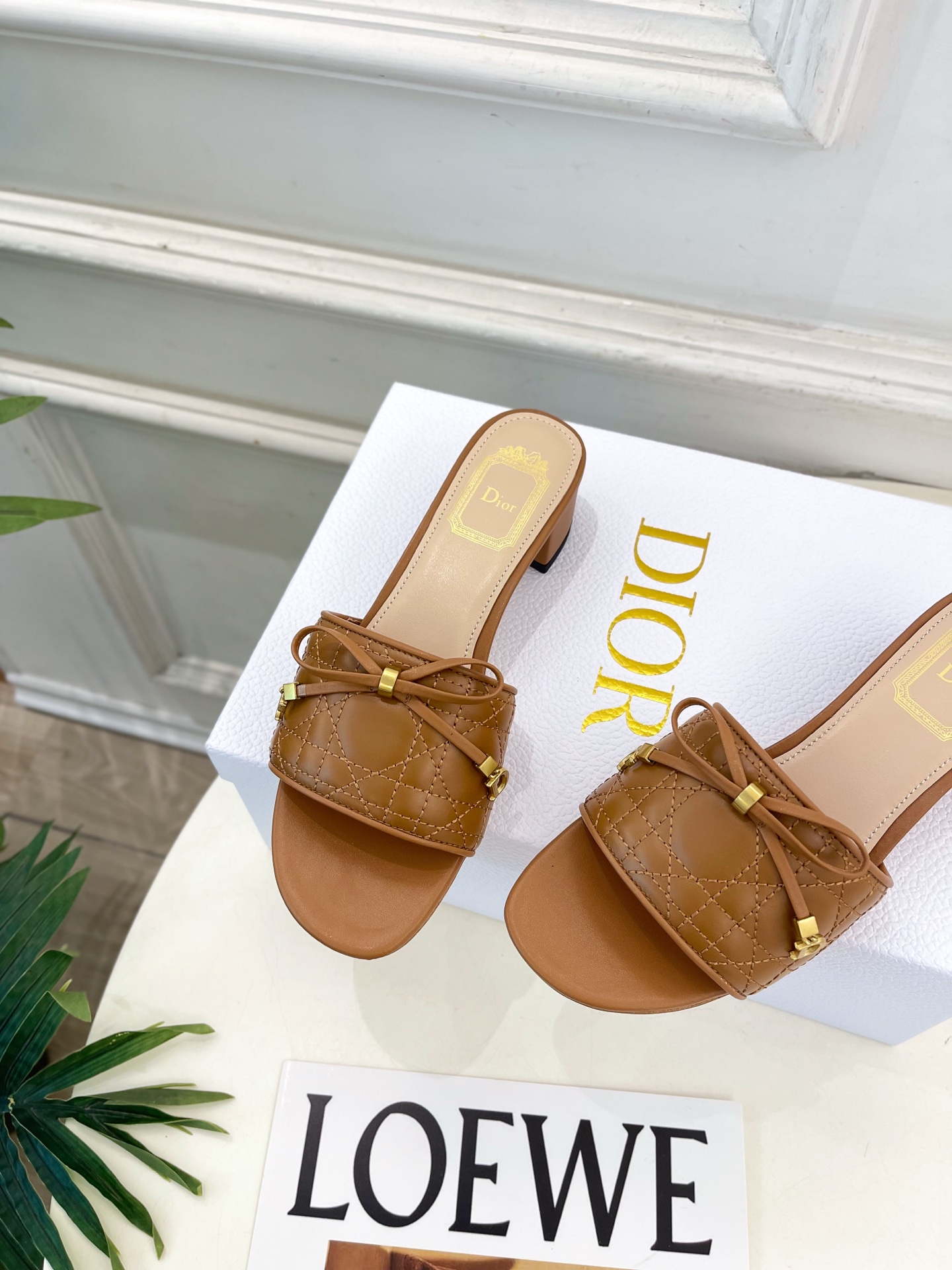 Dior |  迪奥  26𝐬𝐬 🧡💚2026春夏新品 顶级版本⚠️专柜主打新款 Dior Cannag