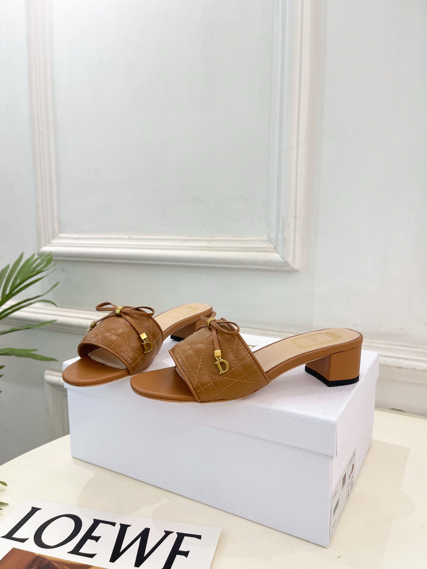 Dior |  迪奥  26𝐬𝐬 🧡💚2026春夏新品 顶级版本⚠️专柜主打新款 Dior Cannag
