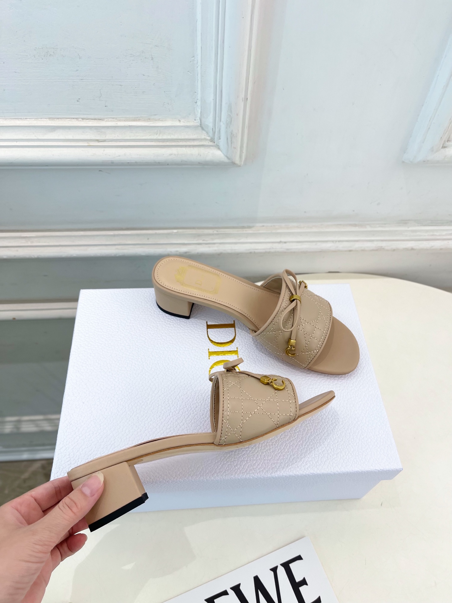 Dior |  迪奥  26𝐬𝐬 🧡💚2026春夏新品 顶级版本⚠️专柜主打新款 Dior Cannag