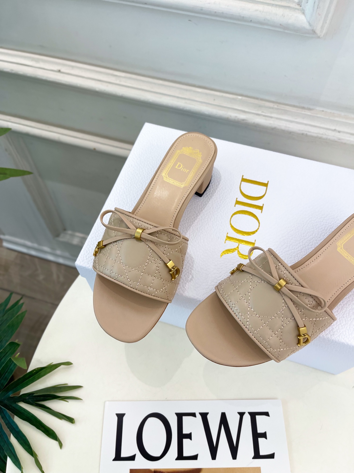 Dior |  迪奥  26𝐬𝐬 🧡💚2026春夏新品 顶级版本⚠️专柜主打新款 Dior Cannag