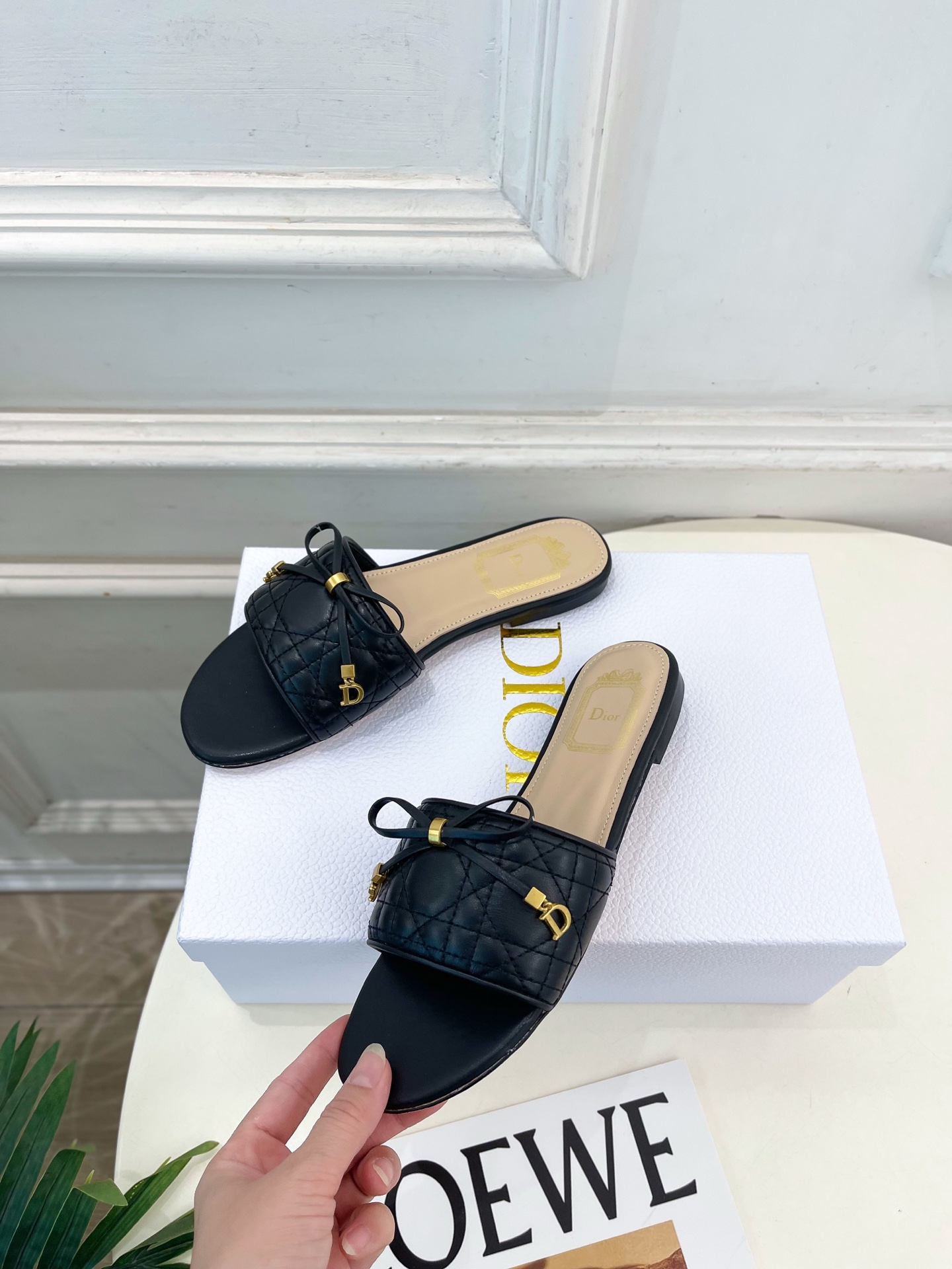 Dior |  迪奥  26𝐬𝐬 🧡💚2026春夏新品 顶级版本⚠️专柜主打新款 Dior Cannag