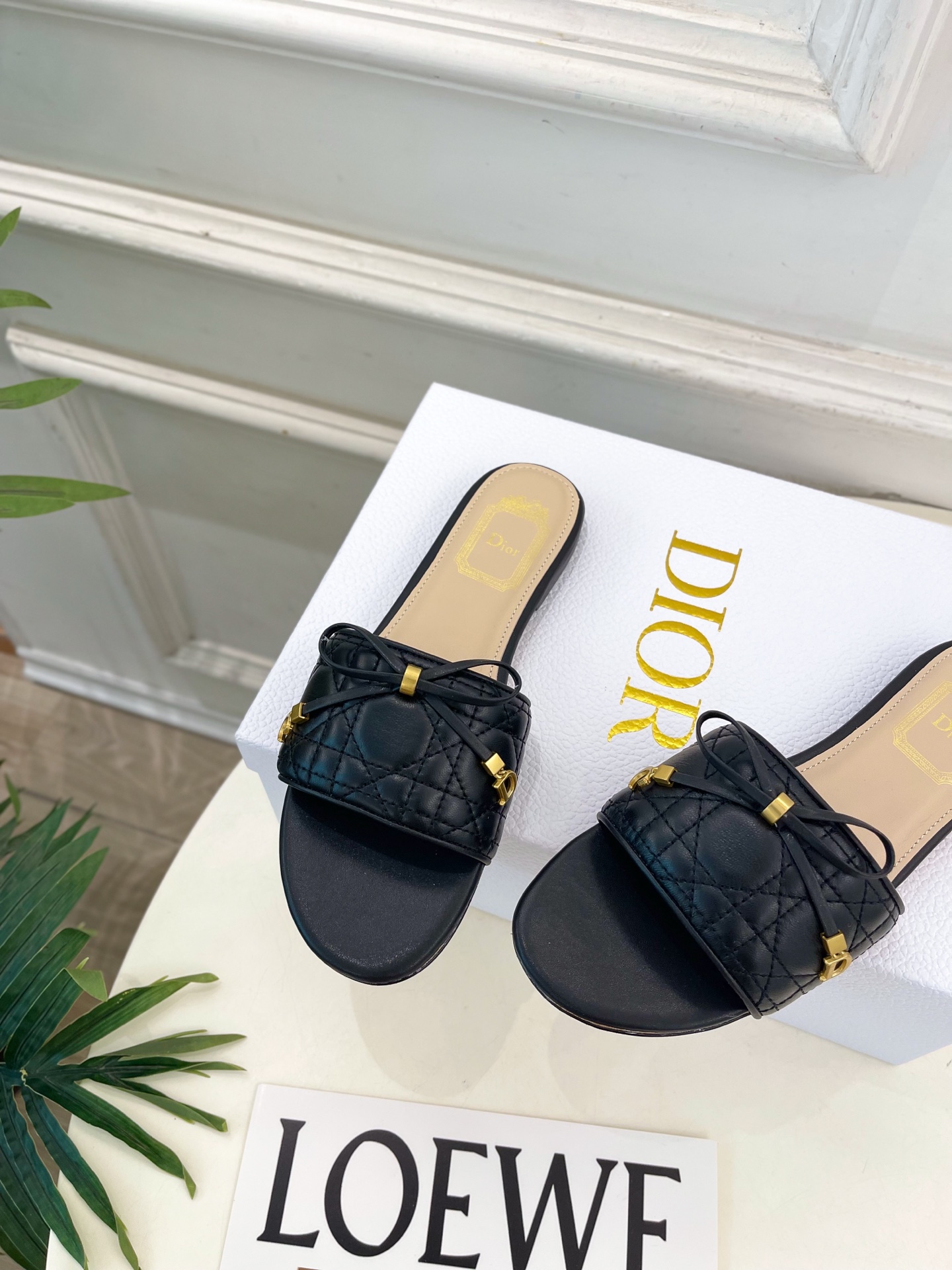Dior |  迪奥  26𝐬𝐬 🧡💚2026春夏新品 顶级版本⚠️专柜主打新款 Dior Cannag