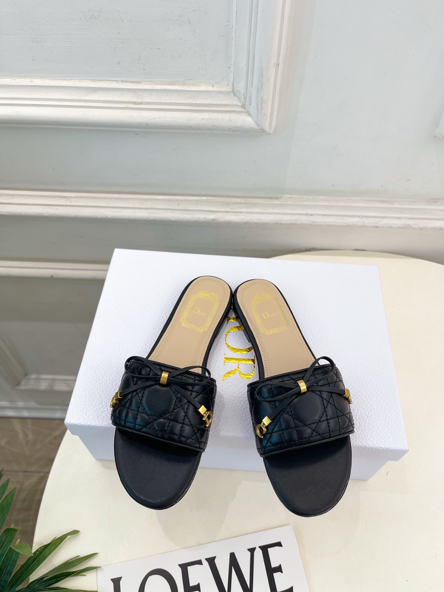 Dior |  迪奥  26𝐬𝐬 🧡💚2026春夏新品 顶级版本⚠️专柜主打新款 Dior Cannag