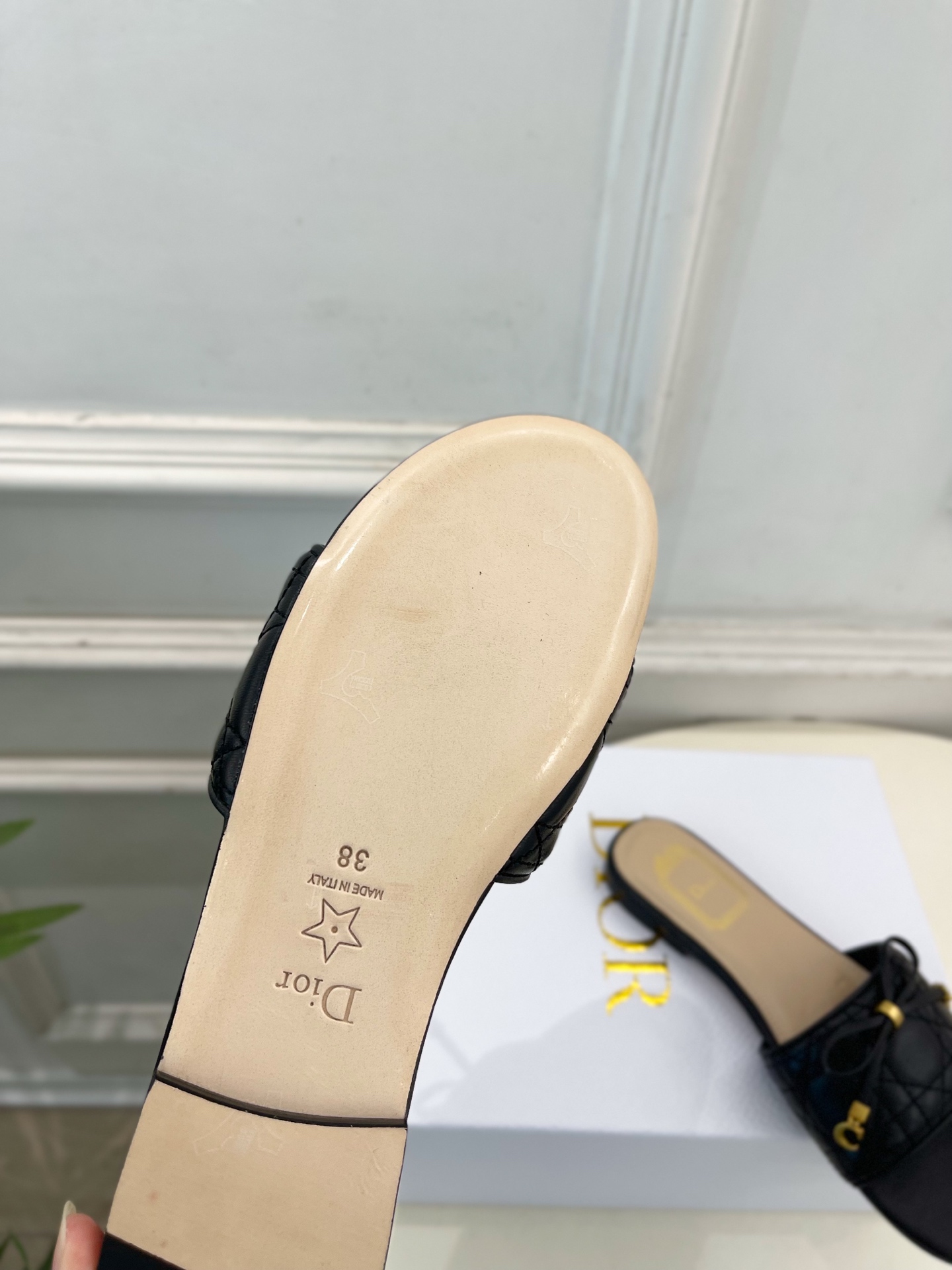 Dior |  迪奥  26𝐬𝐬 🧡💚2026春夏新品 顶级版本⚠️专柜主打新款 Dior Cannag