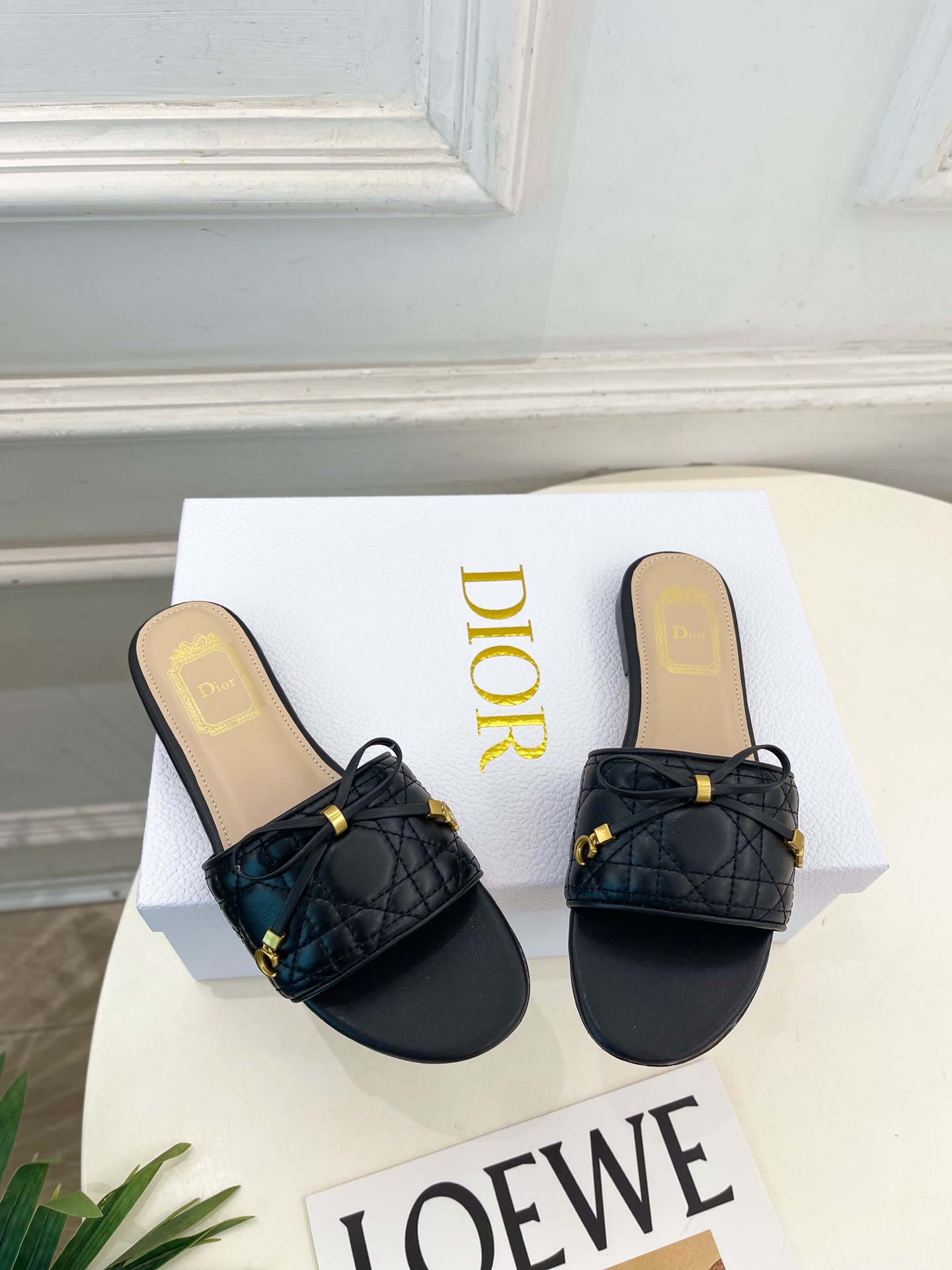 Dior |  迪奥  26𝐬𝐬 🧡💚2026春夏新品 顶级版本⚠️专柜主打新款 Dior Cannag