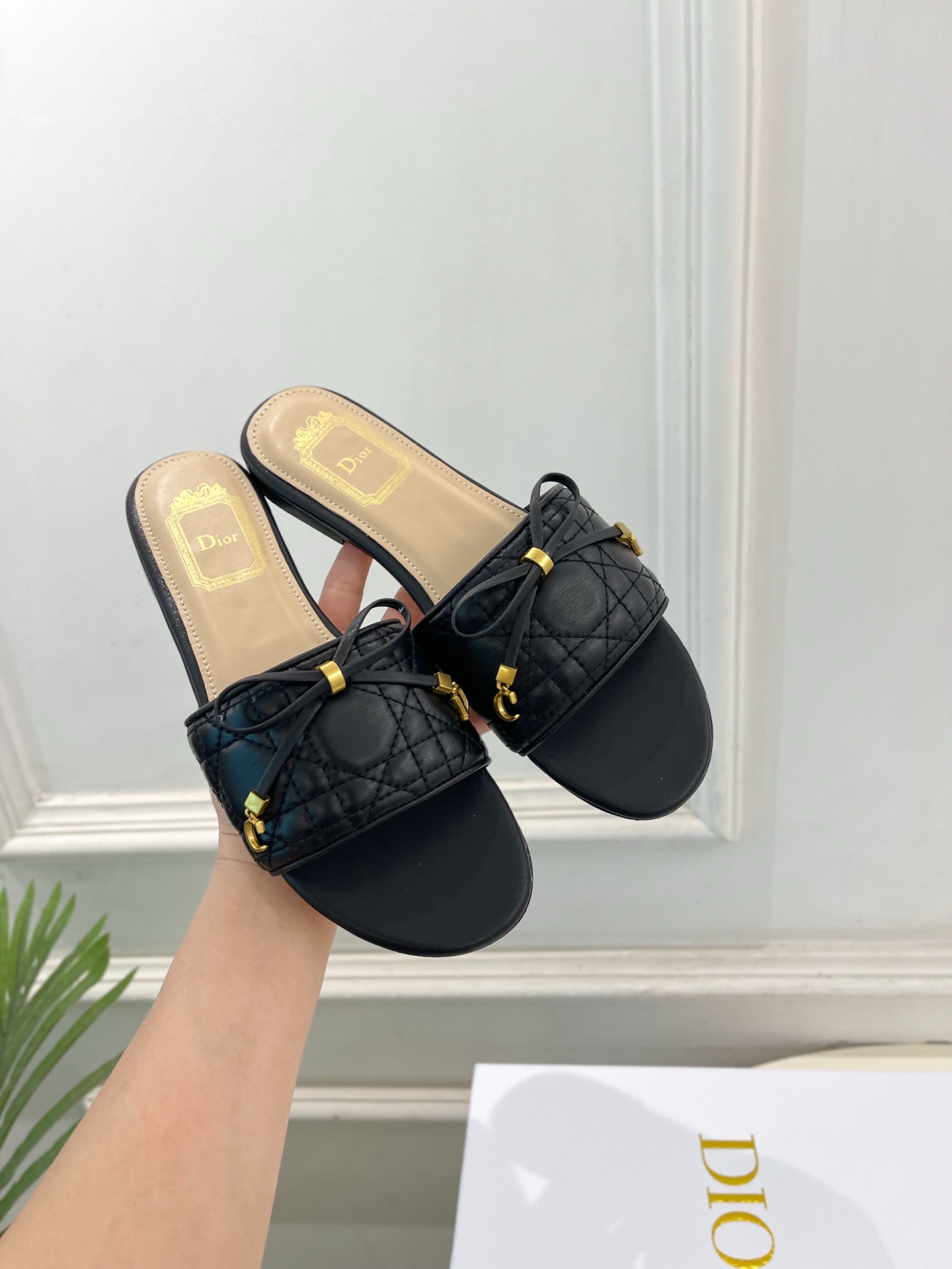 Dior |  迪奥  26𝐬𝐬 🧡💚2026春夏新品 顶级版本⚠️专柜主打新款 Dior Cannag