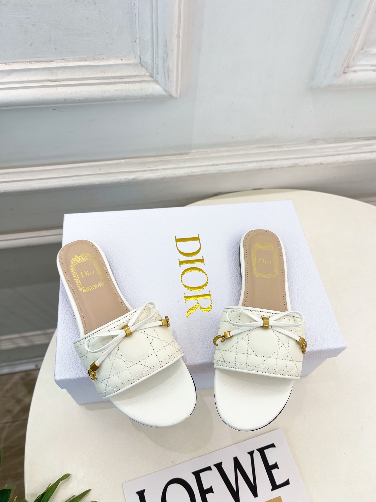 Dior |  迪奥  26𝐬𝐬 🧡💚2026春夏新品 顶级版本⚠️专柜主打新款 Dior Cannag
