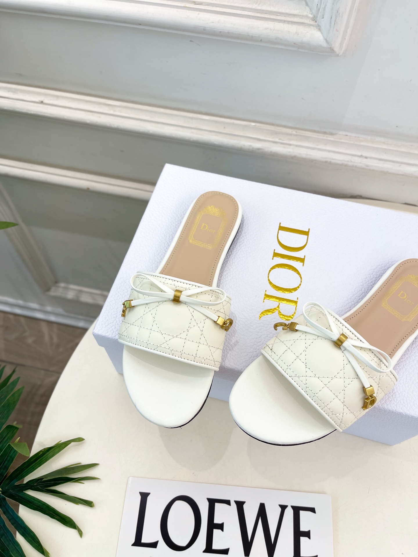 Dior |  迪奥  26𝐬𝐬 🧡💚2026春夏新品 顶级版本⚠️专柜主打新款 Dior Cannag