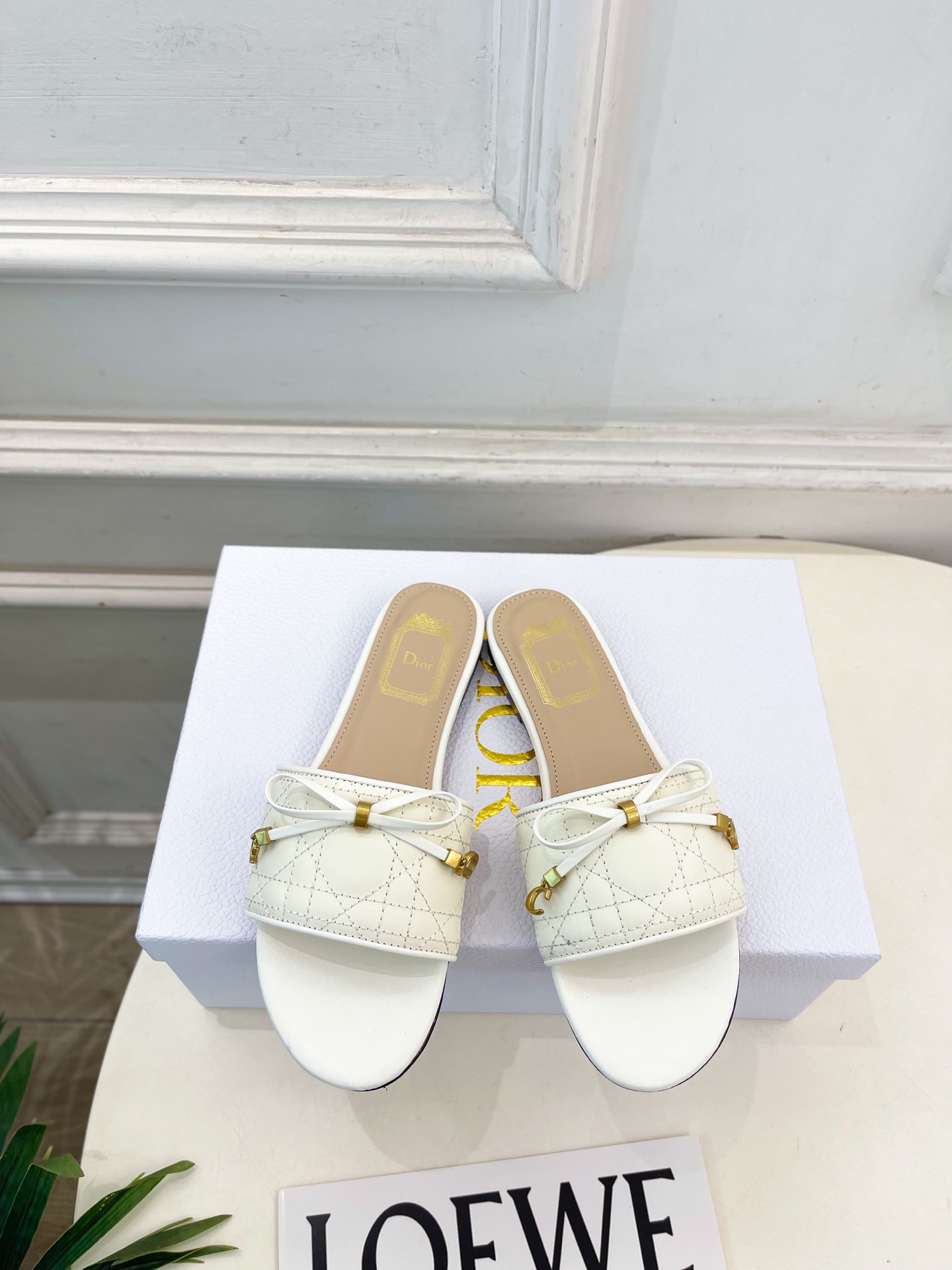 Dior |  迪奥  26𝐬𝐬 🧡💚2026春夏新品 顶级版本⚠️专柜主打新款 Dior Cannag