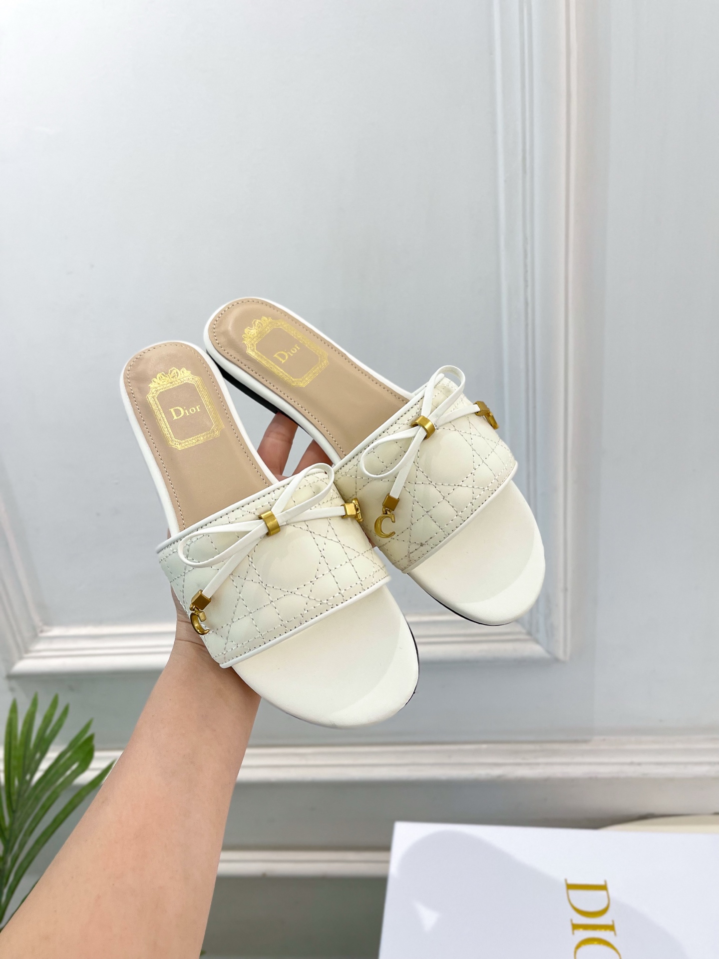 Dior |  迪奥  26𝐬𝐬 🧡💚2026春夏新品 顶级版本⚠️专柜主打新款 Dior Cannag