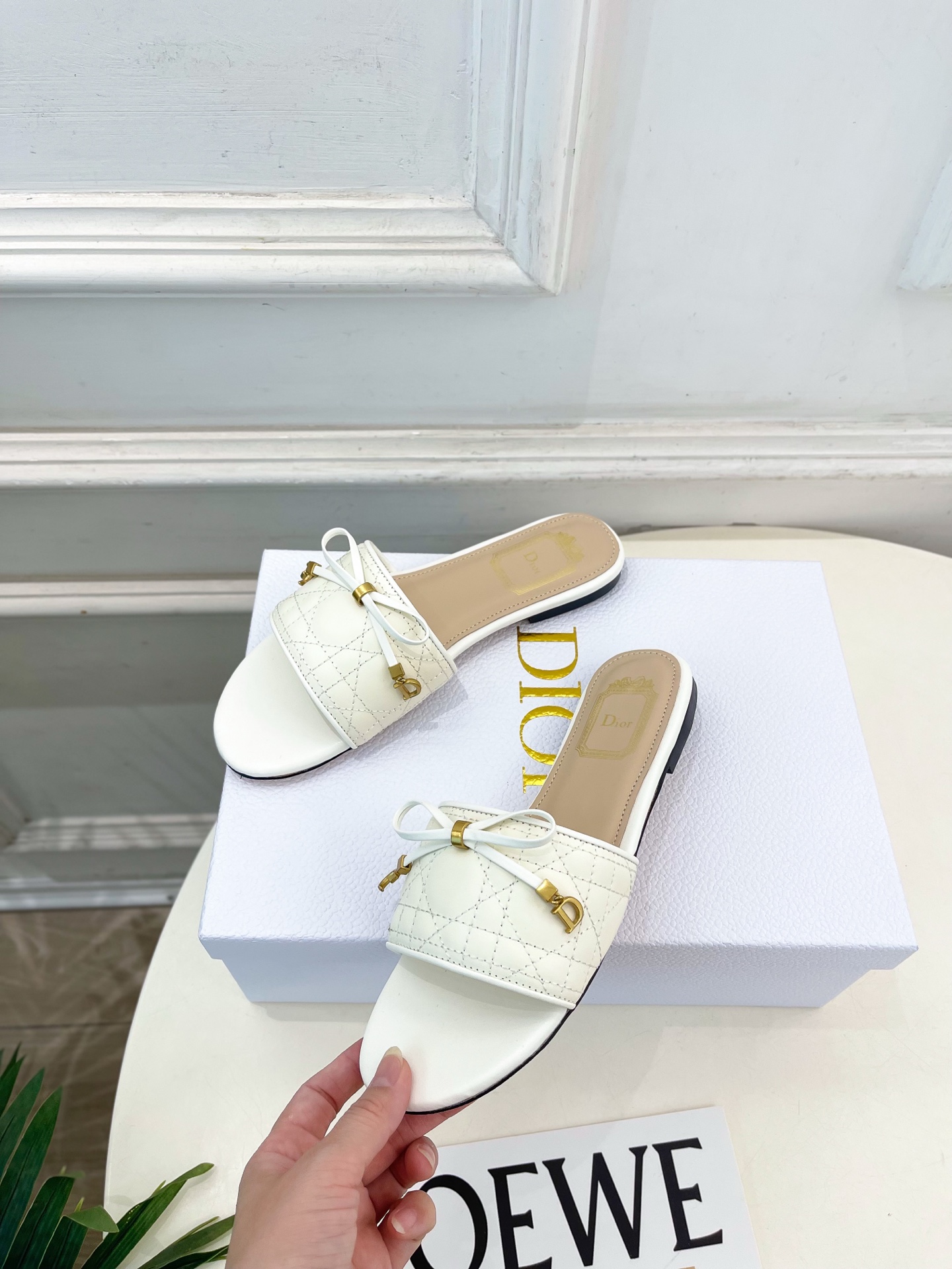 Dior |  迪奥  26𝐬𝐬 🧡💚2026春夏新品 顶级版本⚠️专柜主打新款 Dior Cannag