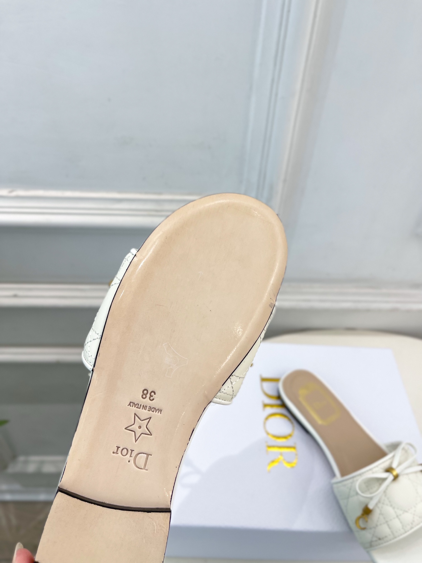 Dior |  迪奥  26𝐬𝐬 🧡💚2026春夏新品 顶级版本⚠️专柜主打新款 Dior Cannag